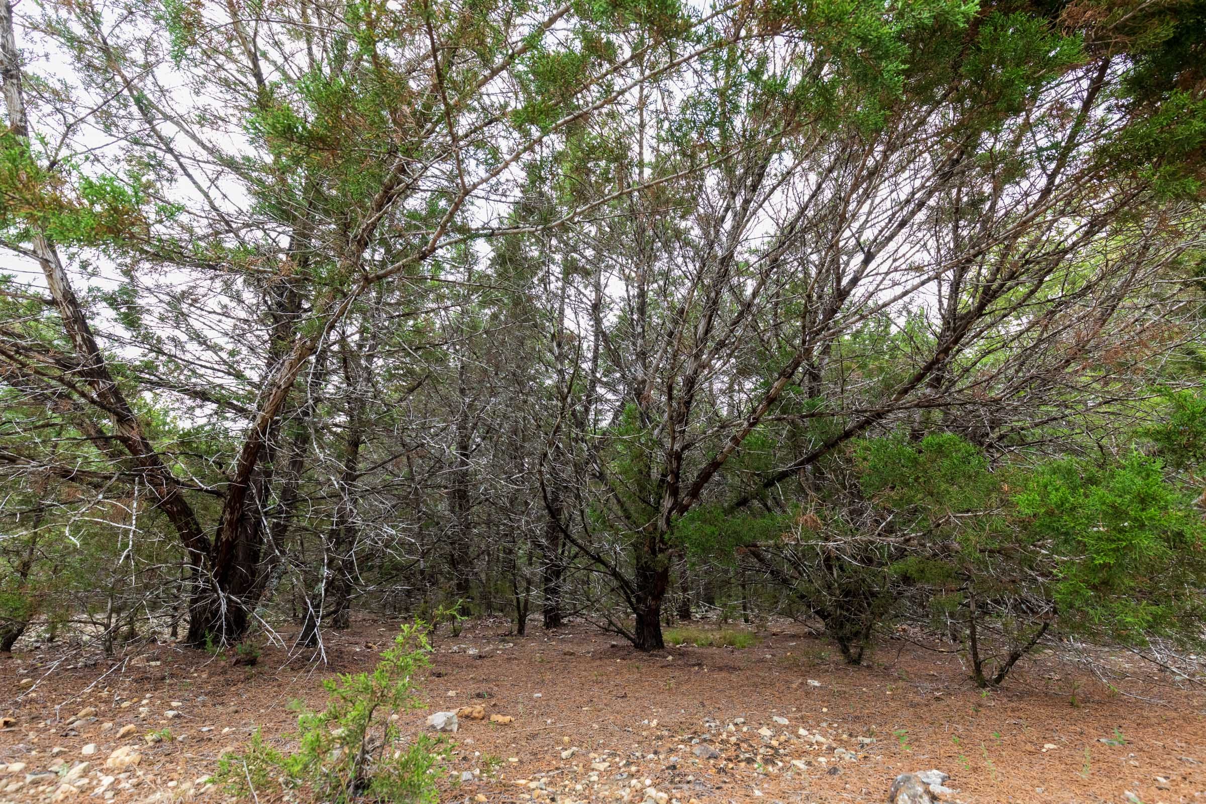 Heritage Bend Tract 27 photo 1