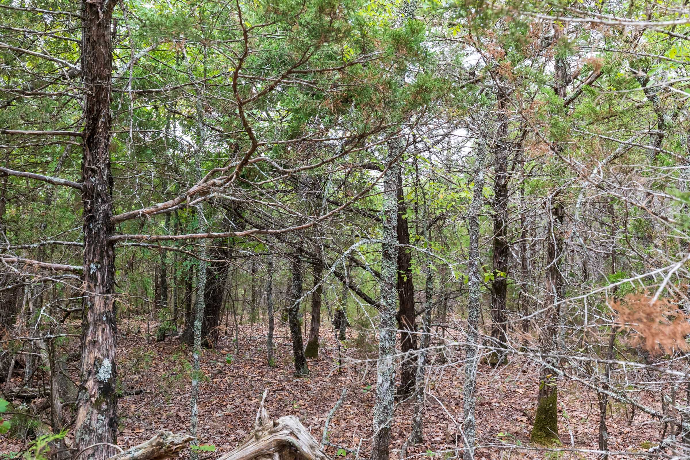 Heritage Bend Tract 27 photo 9