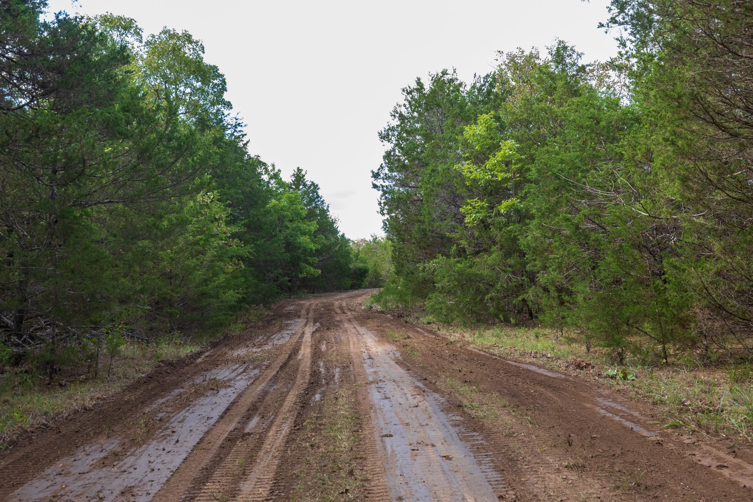 Heritage Bend Tract 27 photo 4