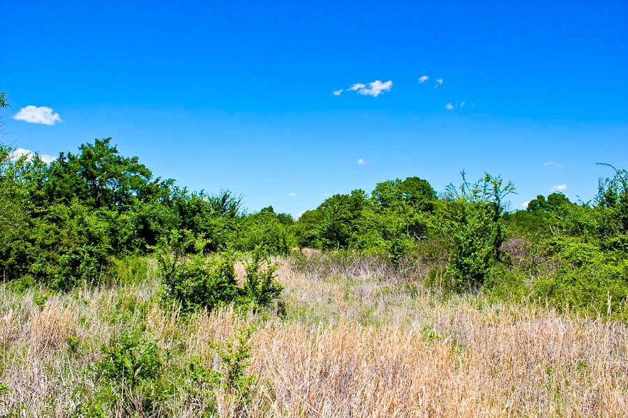 Saddlebrook Ranch Tract 35 photo 4