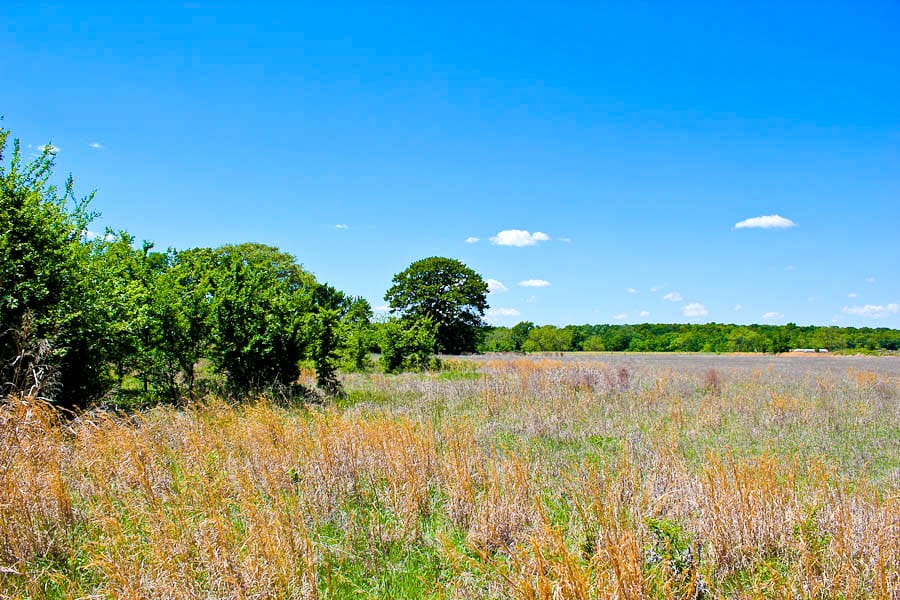 Saddlebrook Ranch Tract 35 photo 5
