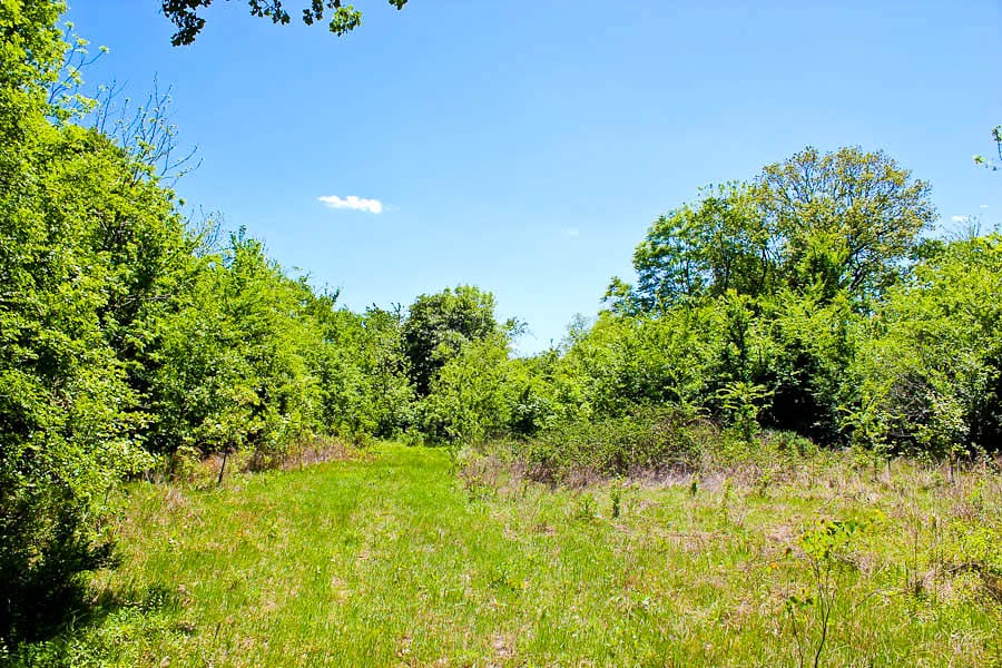 Saddlebrook Ranch Tract 35 photo 10