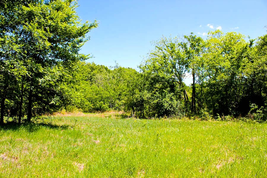 Saddlebrook Ranch Tract 35 photo 11