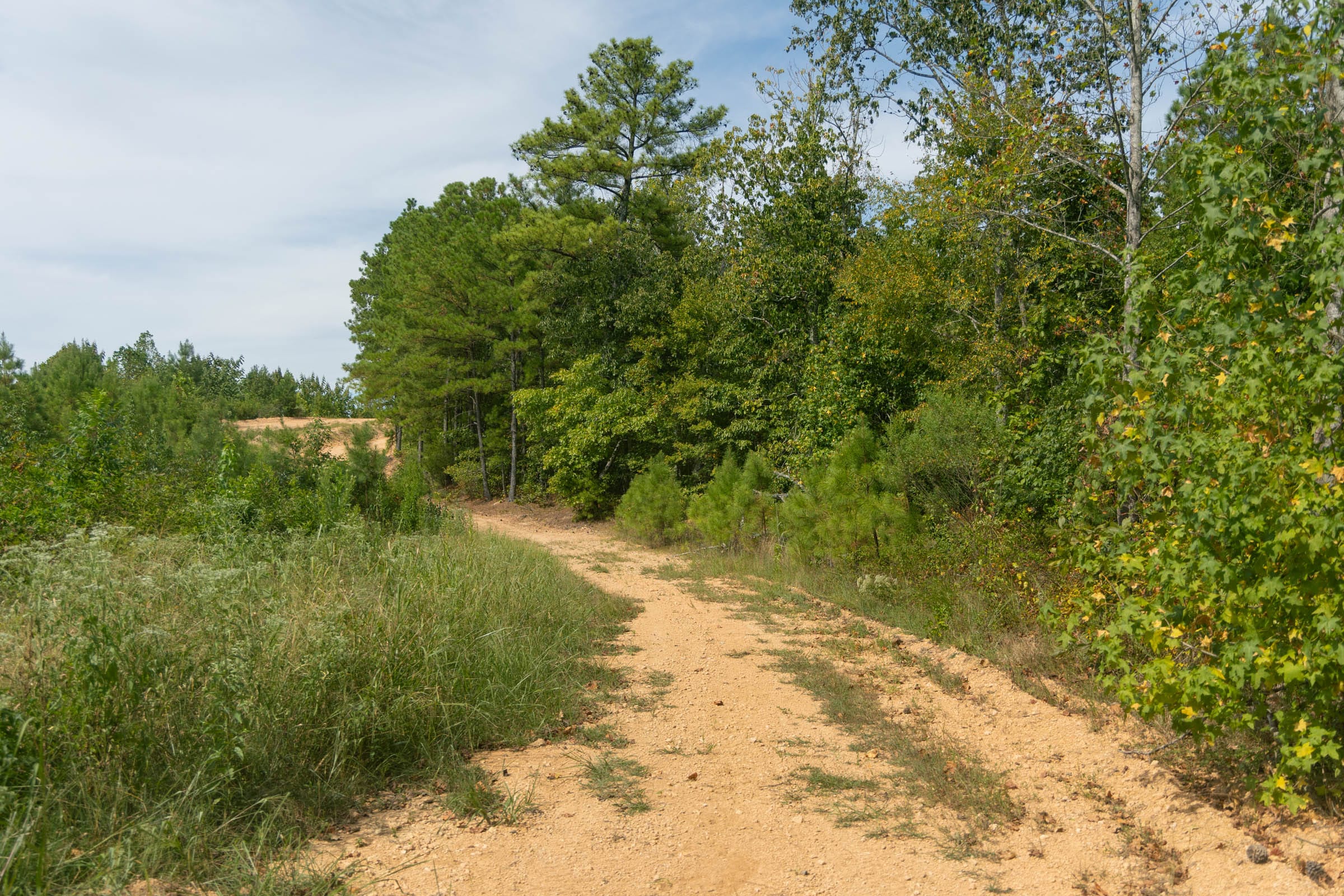 Big White Oak Tract 30 photo 5