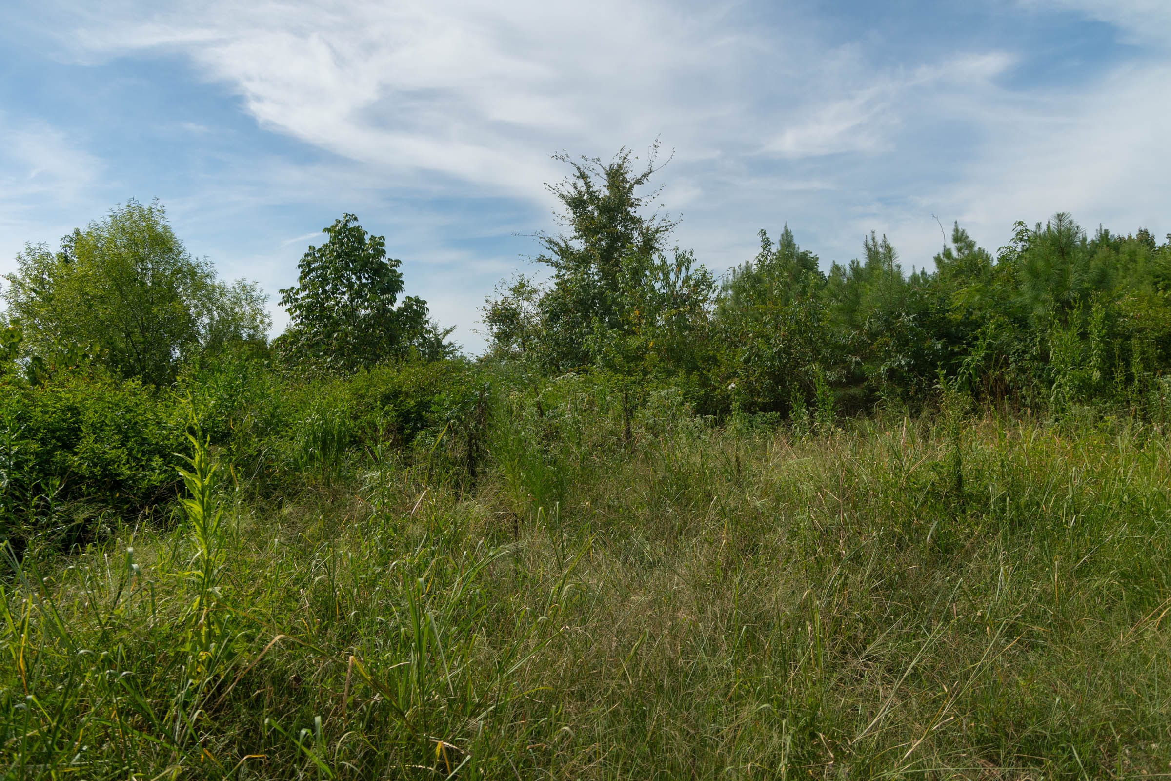 Big White Oak Tract 30 photo 3