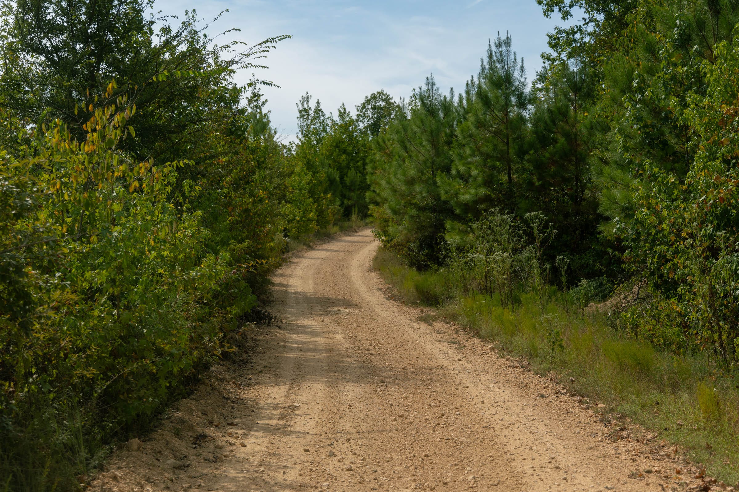 Big White Oak Tract 30 photo 6