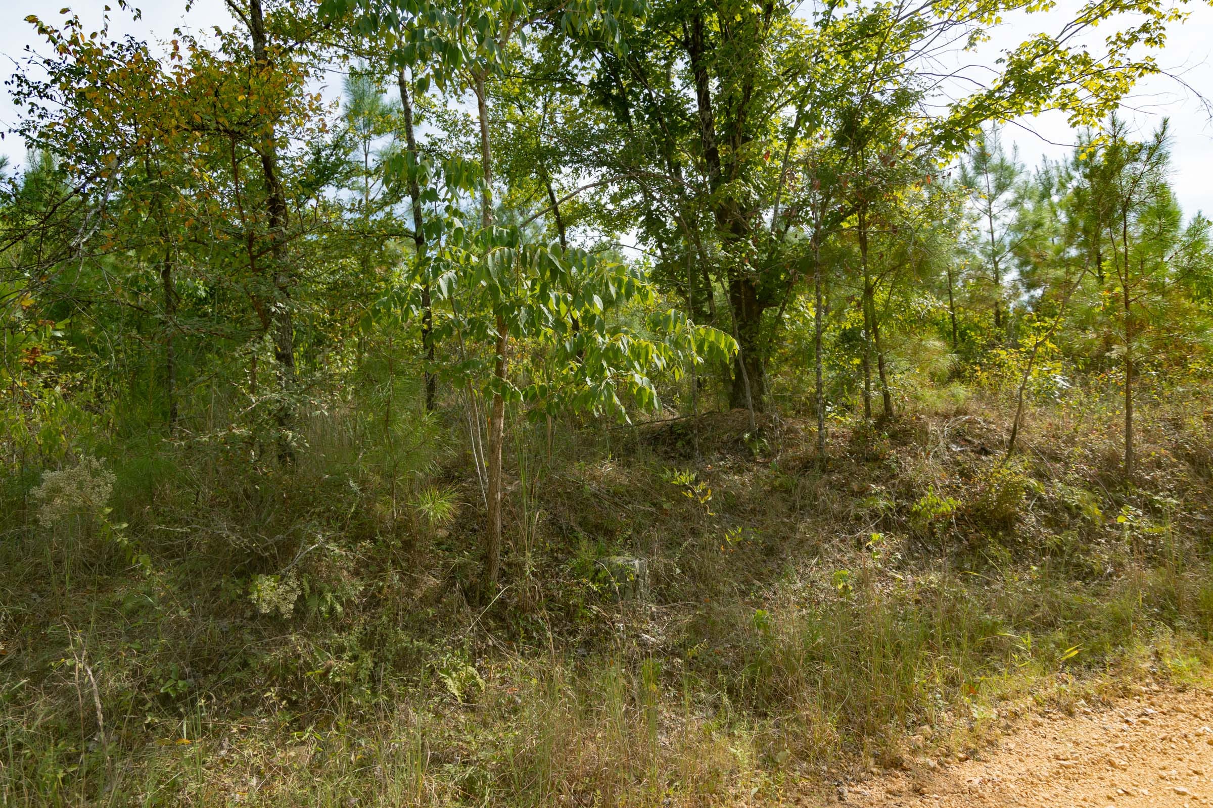 Big White Oak Tract 30 photo 4