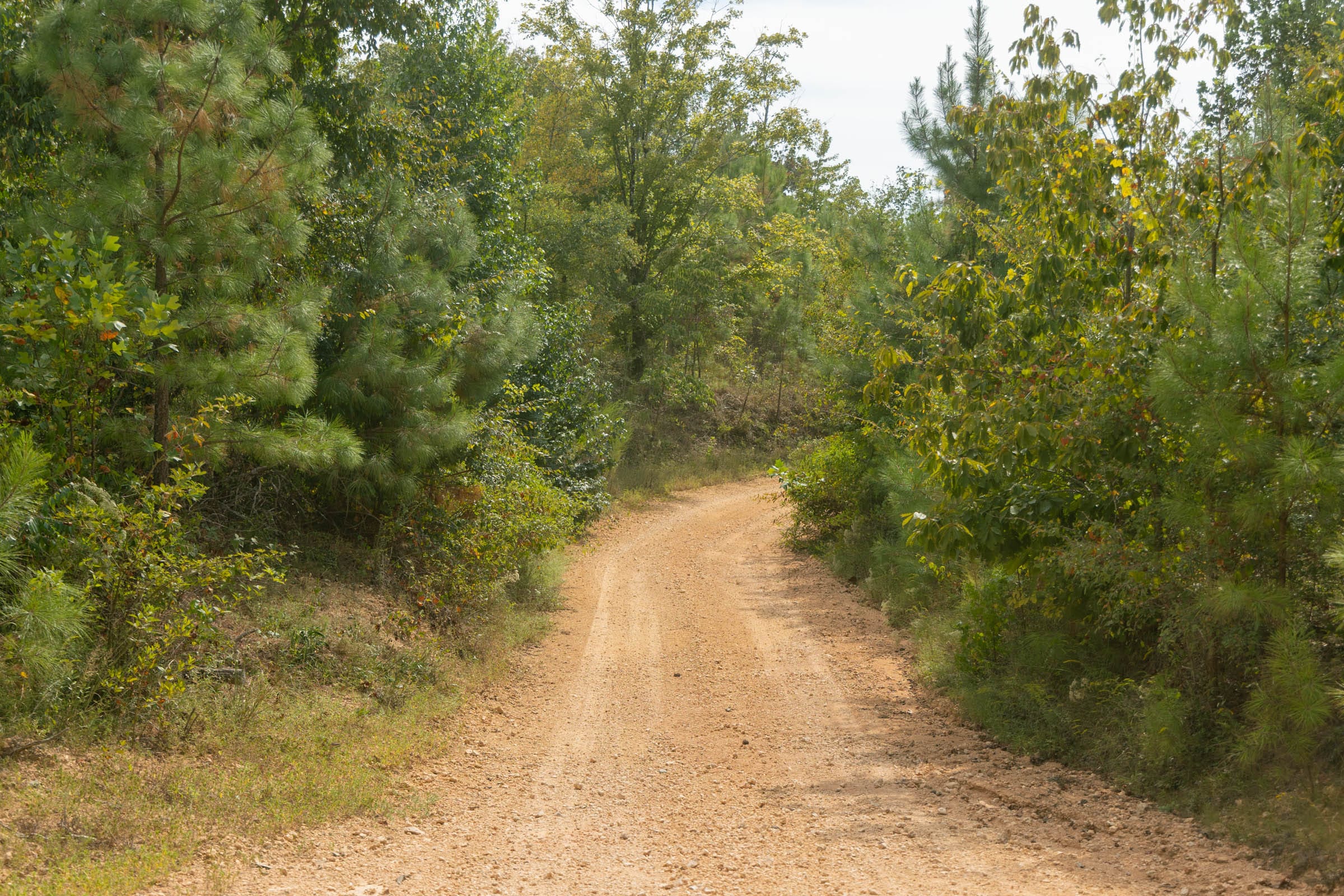 Big White Oak Tract 30 photo 1