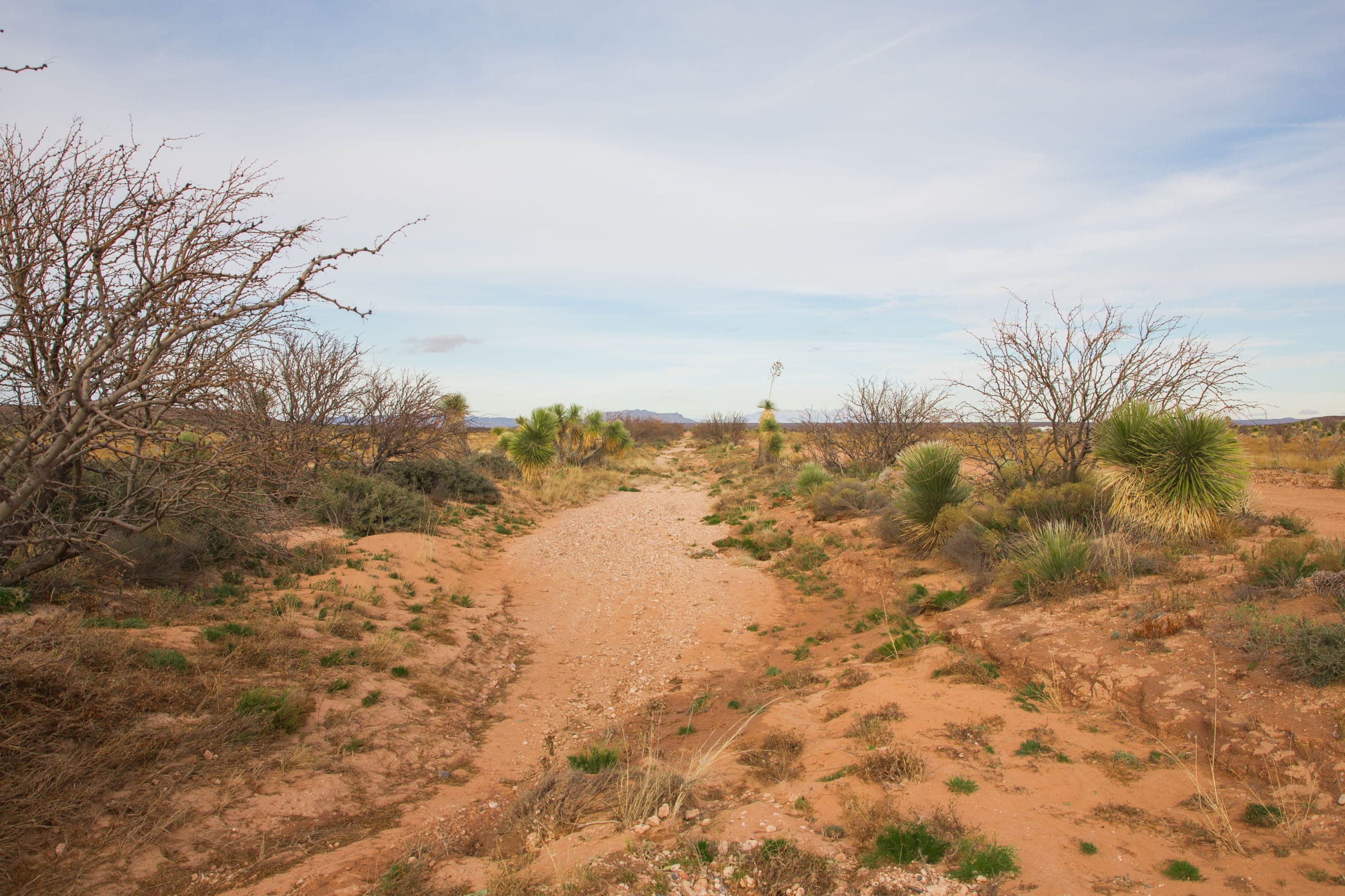 Sunset Ranches Tract 1 photo 5