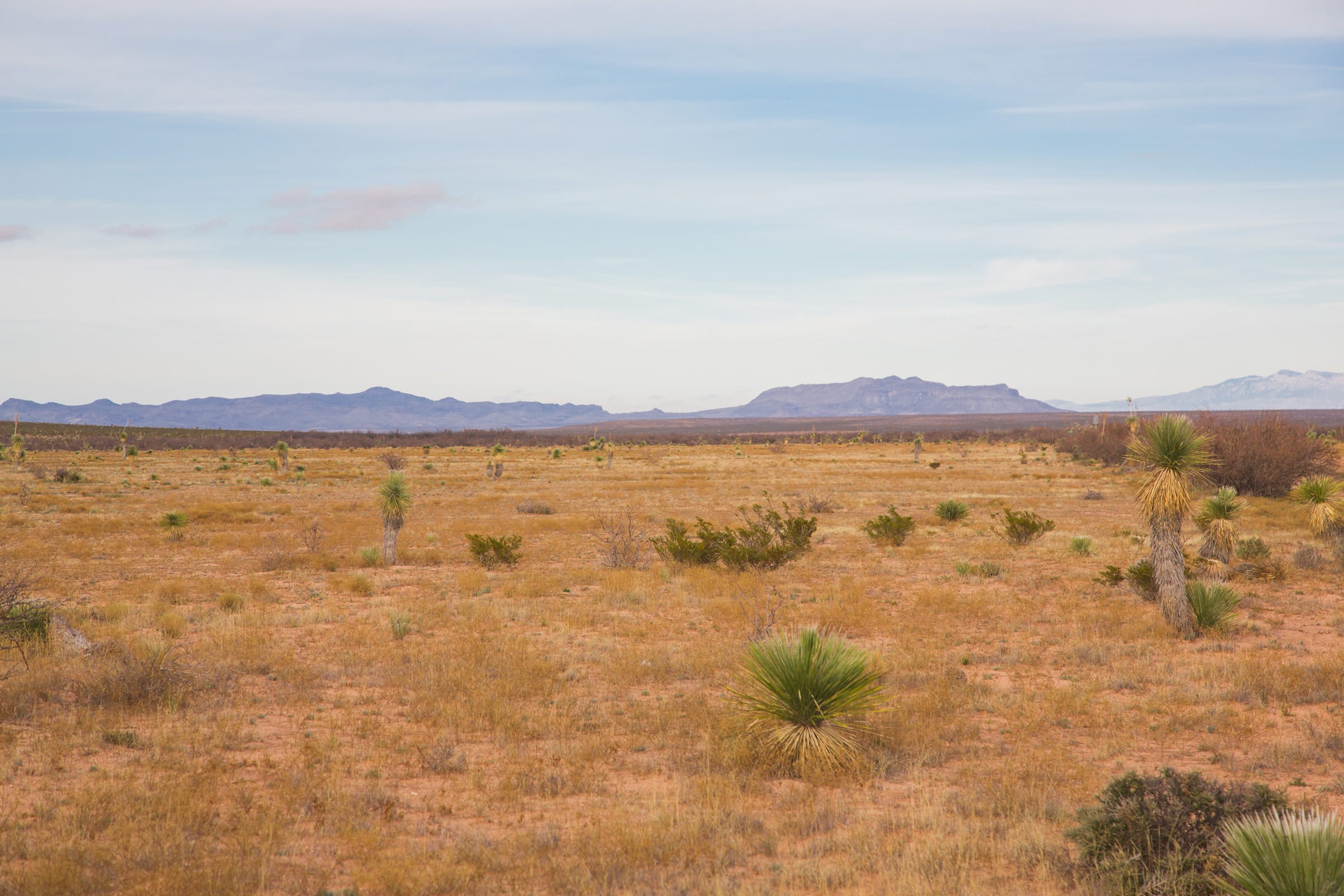Sunset Ranches Tract 1 photo 7