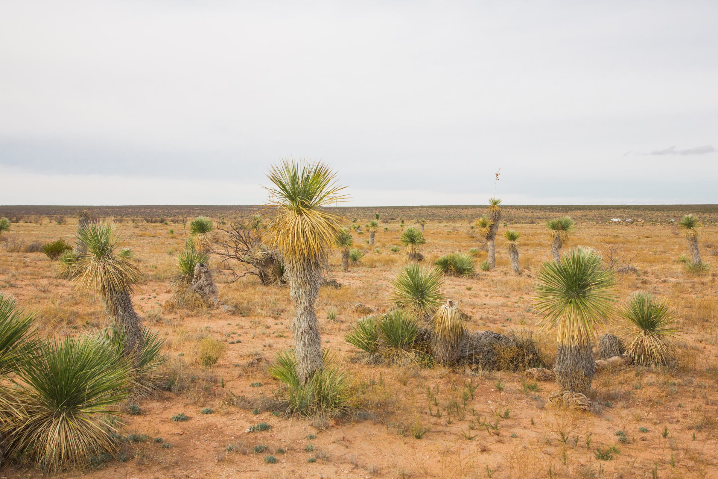 Sunset Ranches Tract 1 photo 8