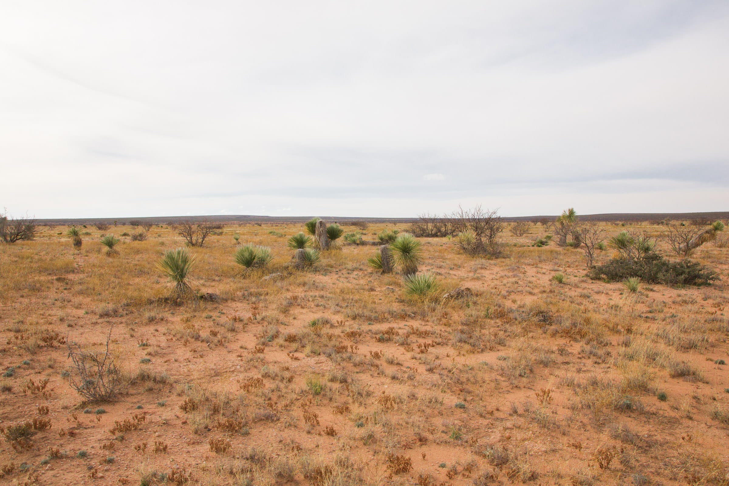 Sunset Ranches Tract 1 photo 9