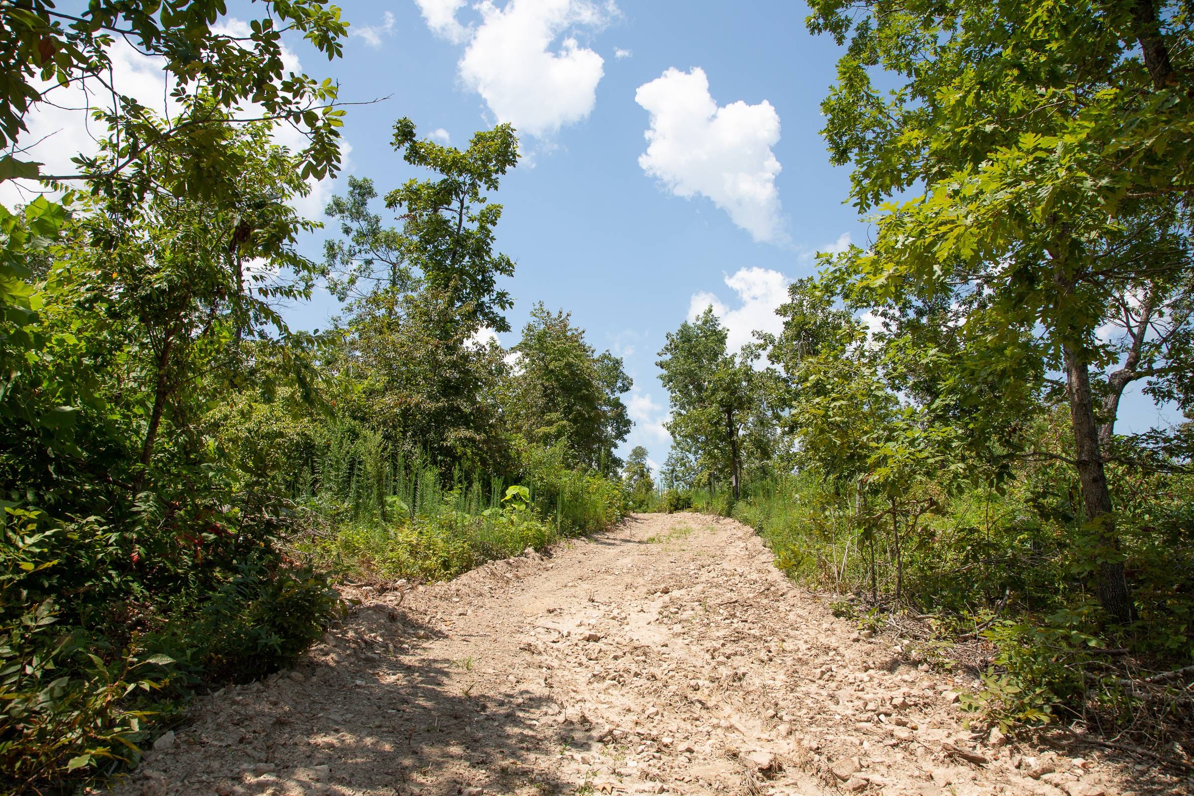 Borgmann’s Hollow Phase I Tract 14 photo 3