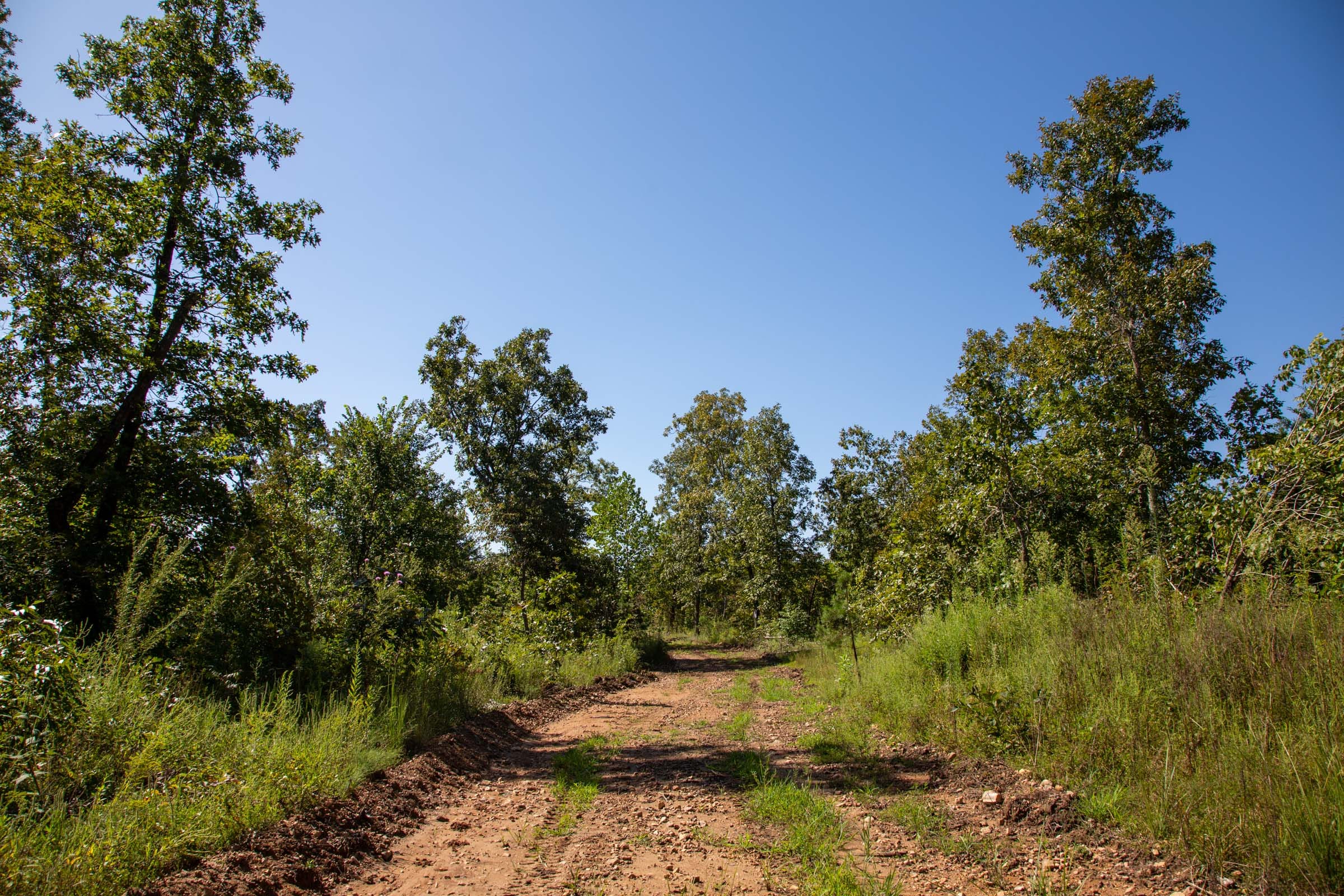 Borgmann’s Hollow Phase II Tract 68 photo 1