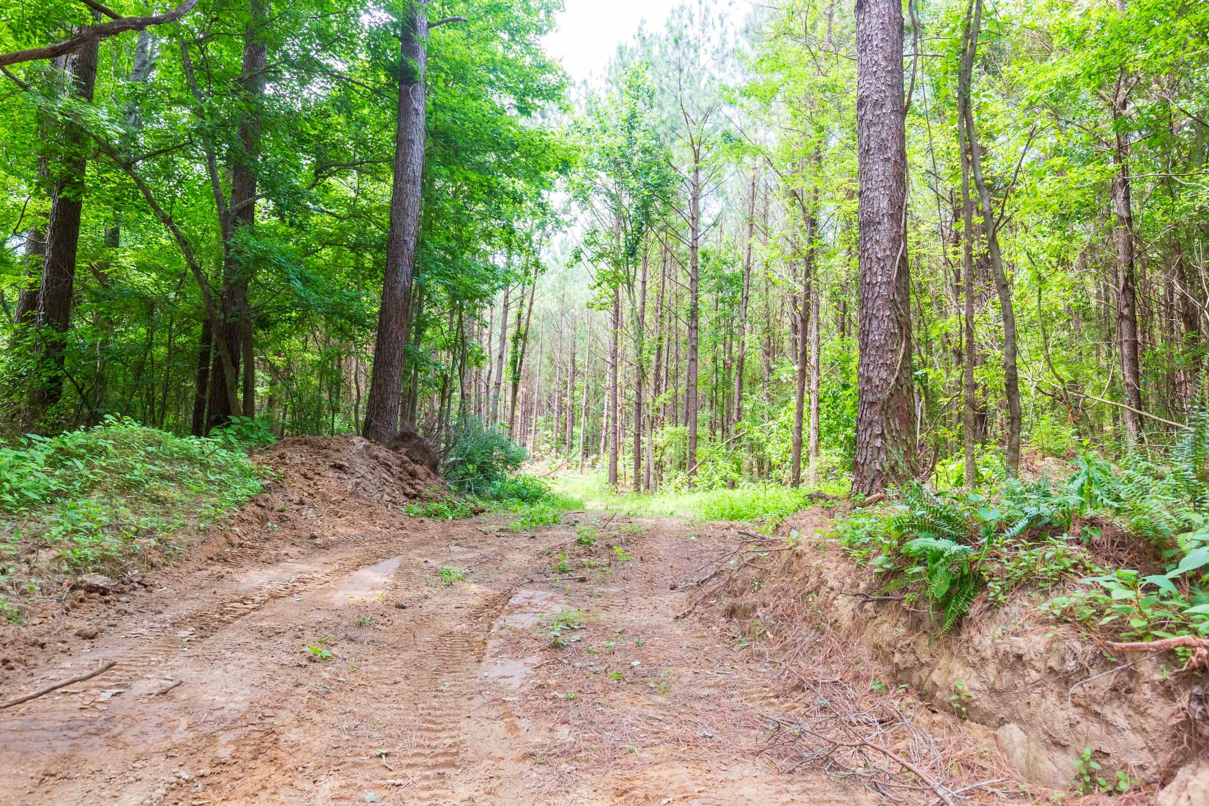 Whiskey Ridge Tract 105 photo 1