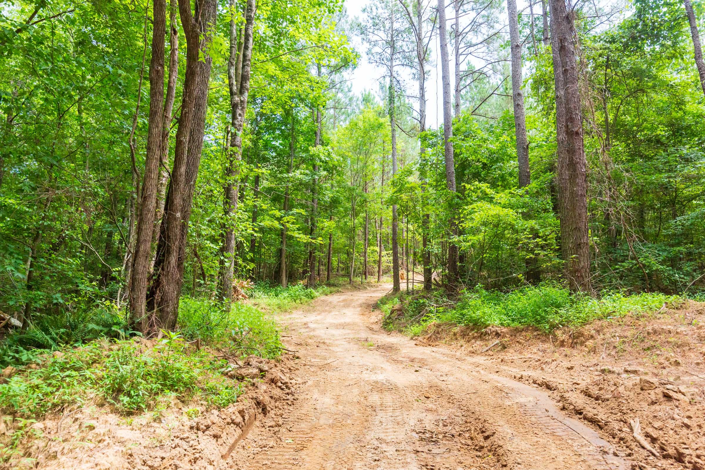 Whiskey Ridge Tract 105 photo 6