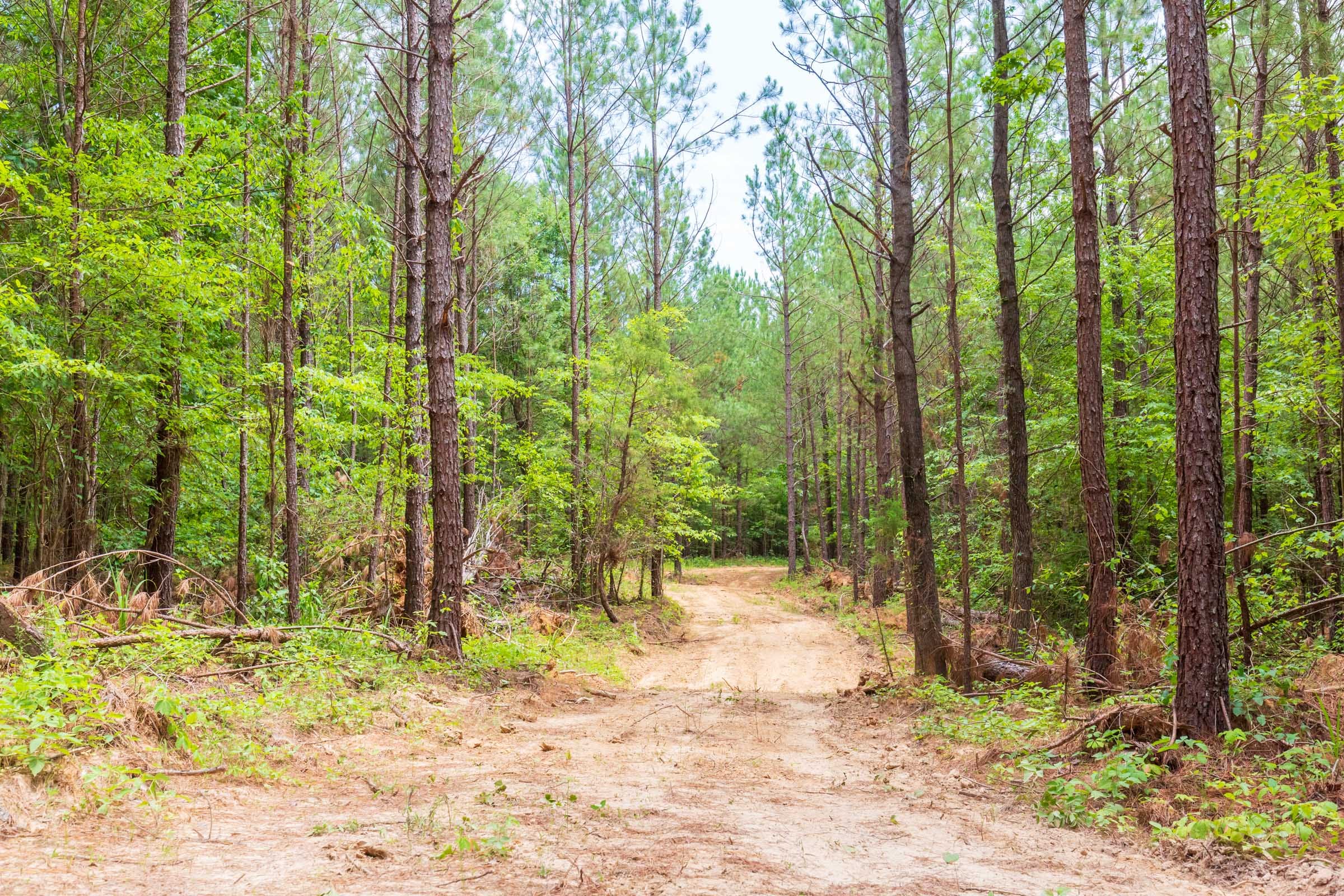 Whiskey Ridge Tract 105 photo 11