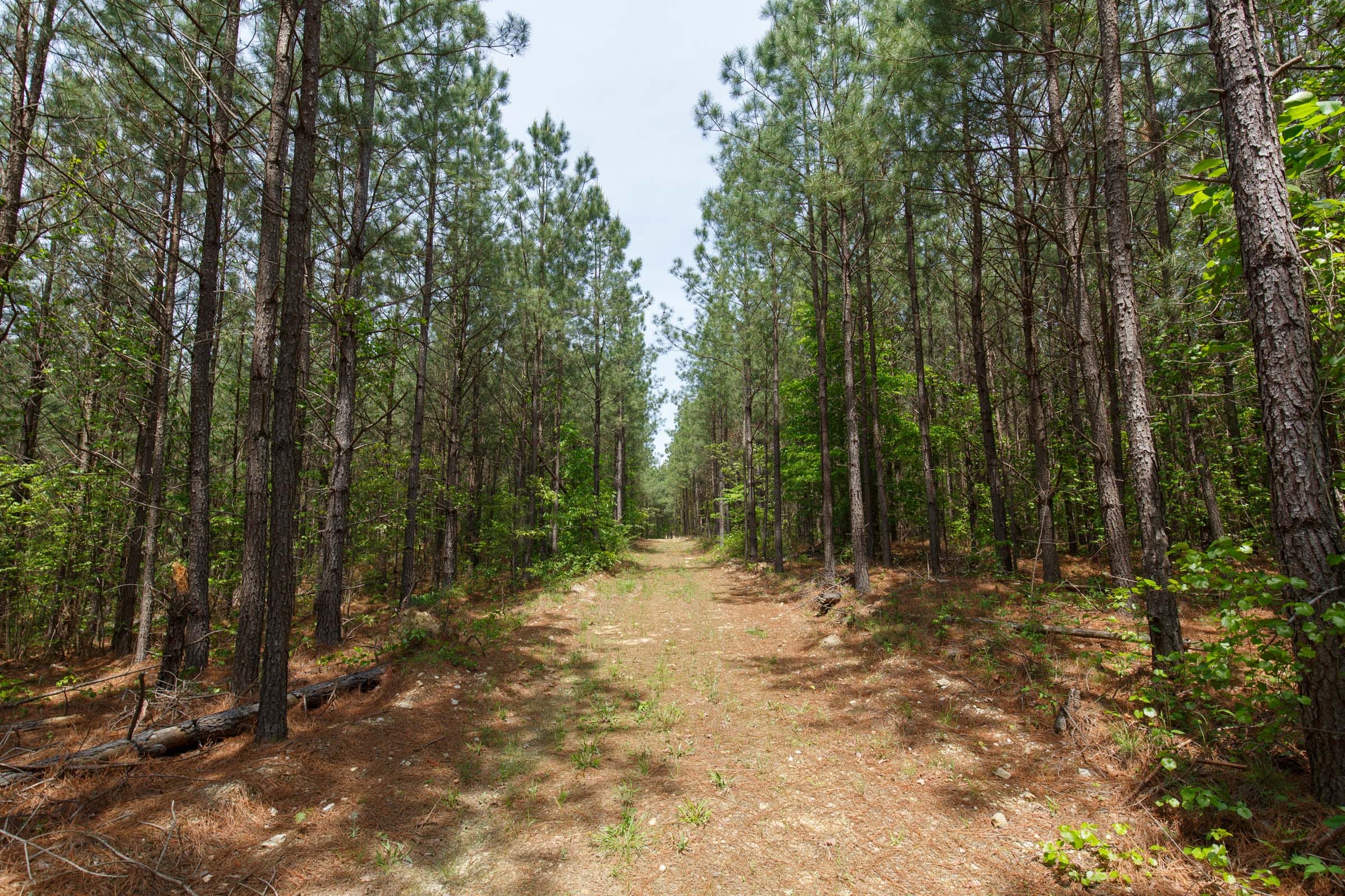 Red Barn Ranch Tract 63 photo 7