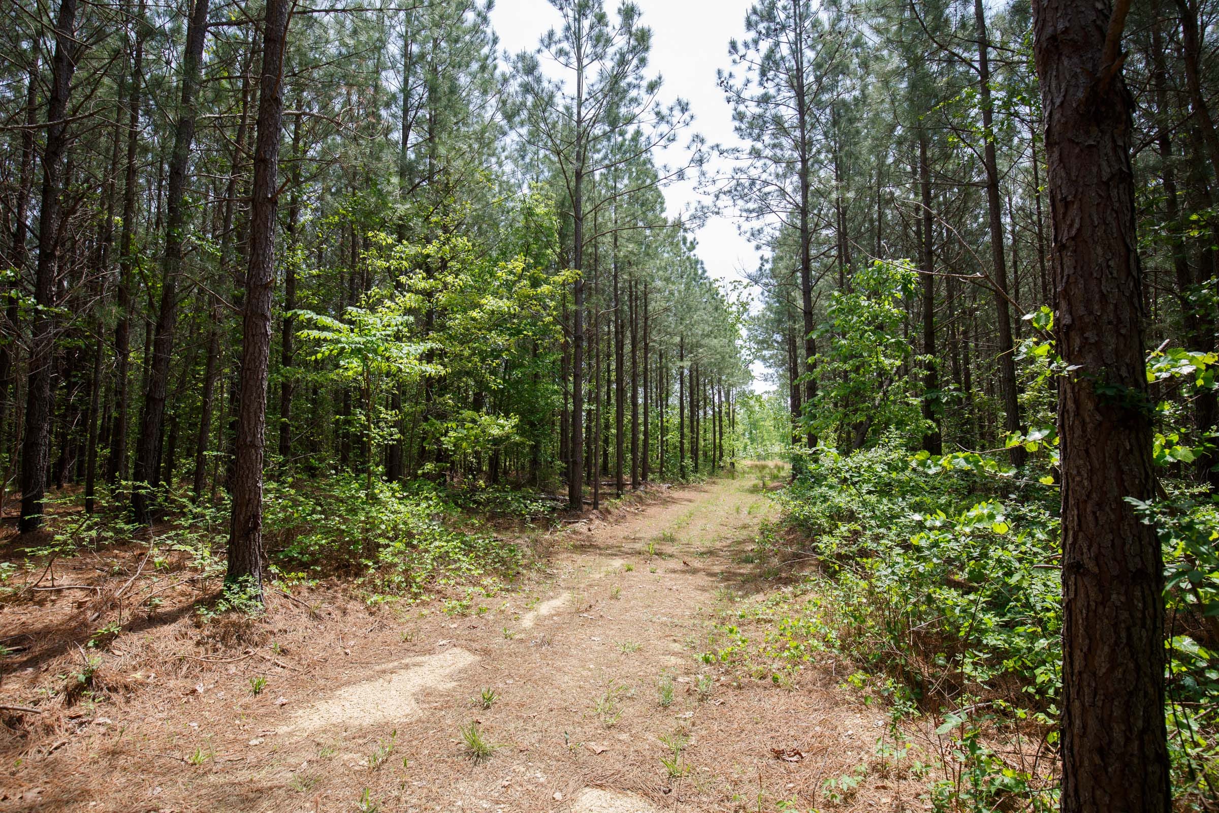 Red Barn Ranch Tract 63 photo 1