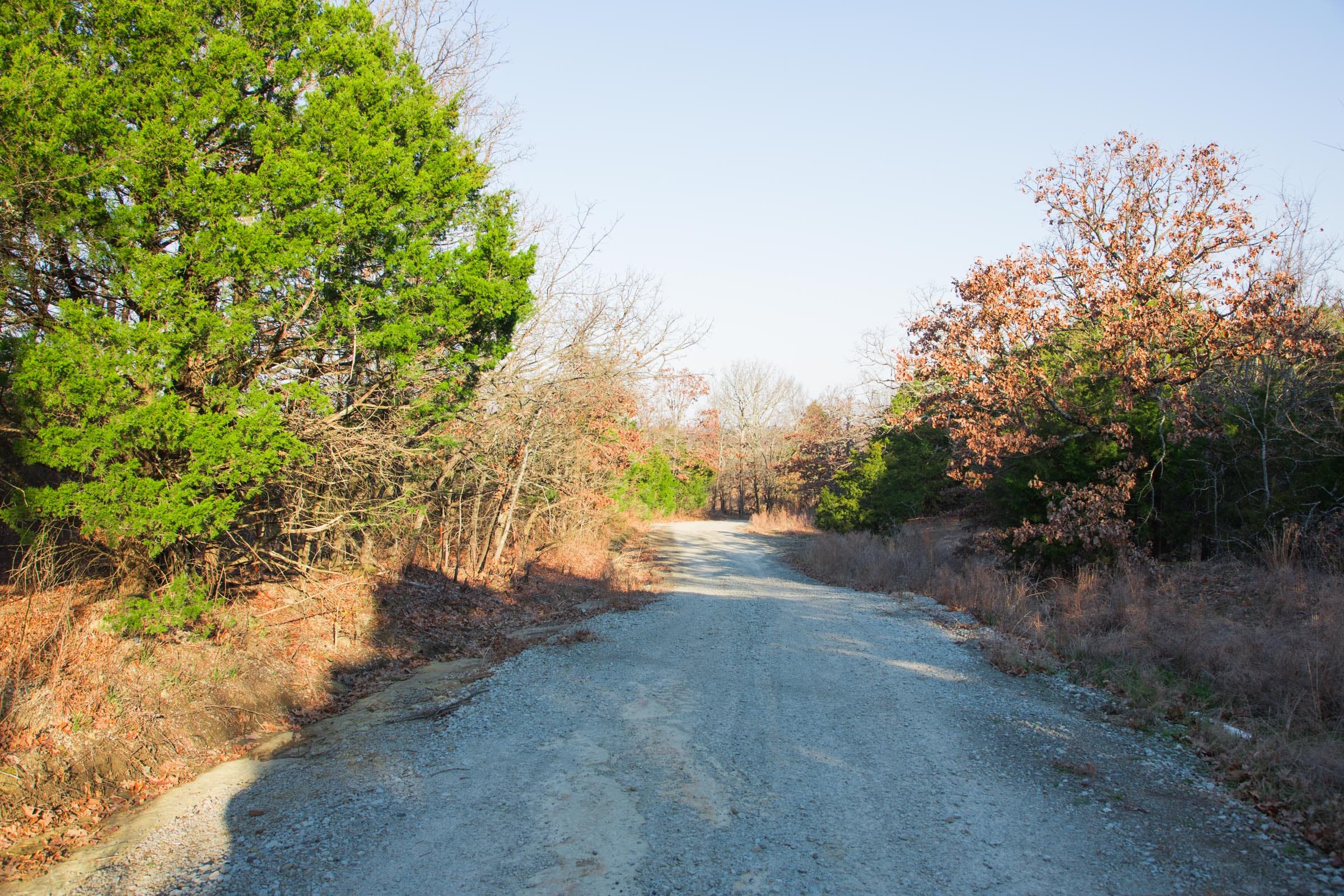 Eufaula Cove Tract 28 photo 2
