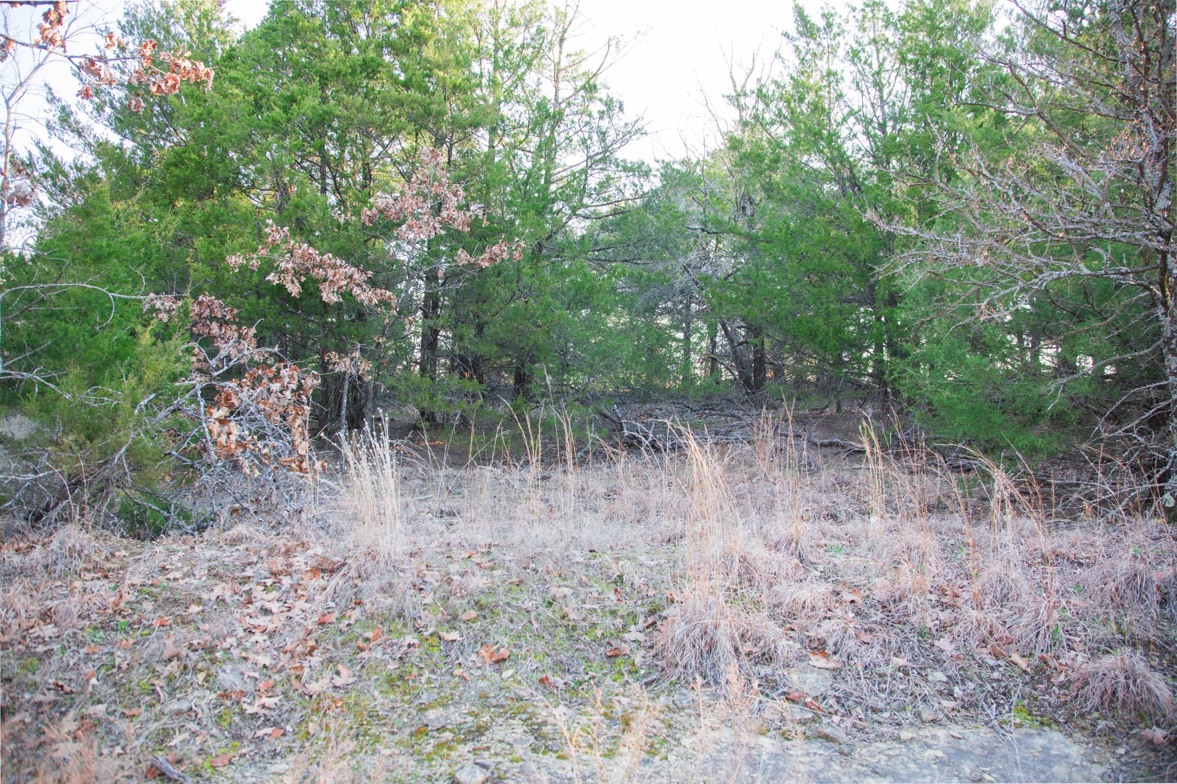 Eufaula Cove Tract 28 photo 3
