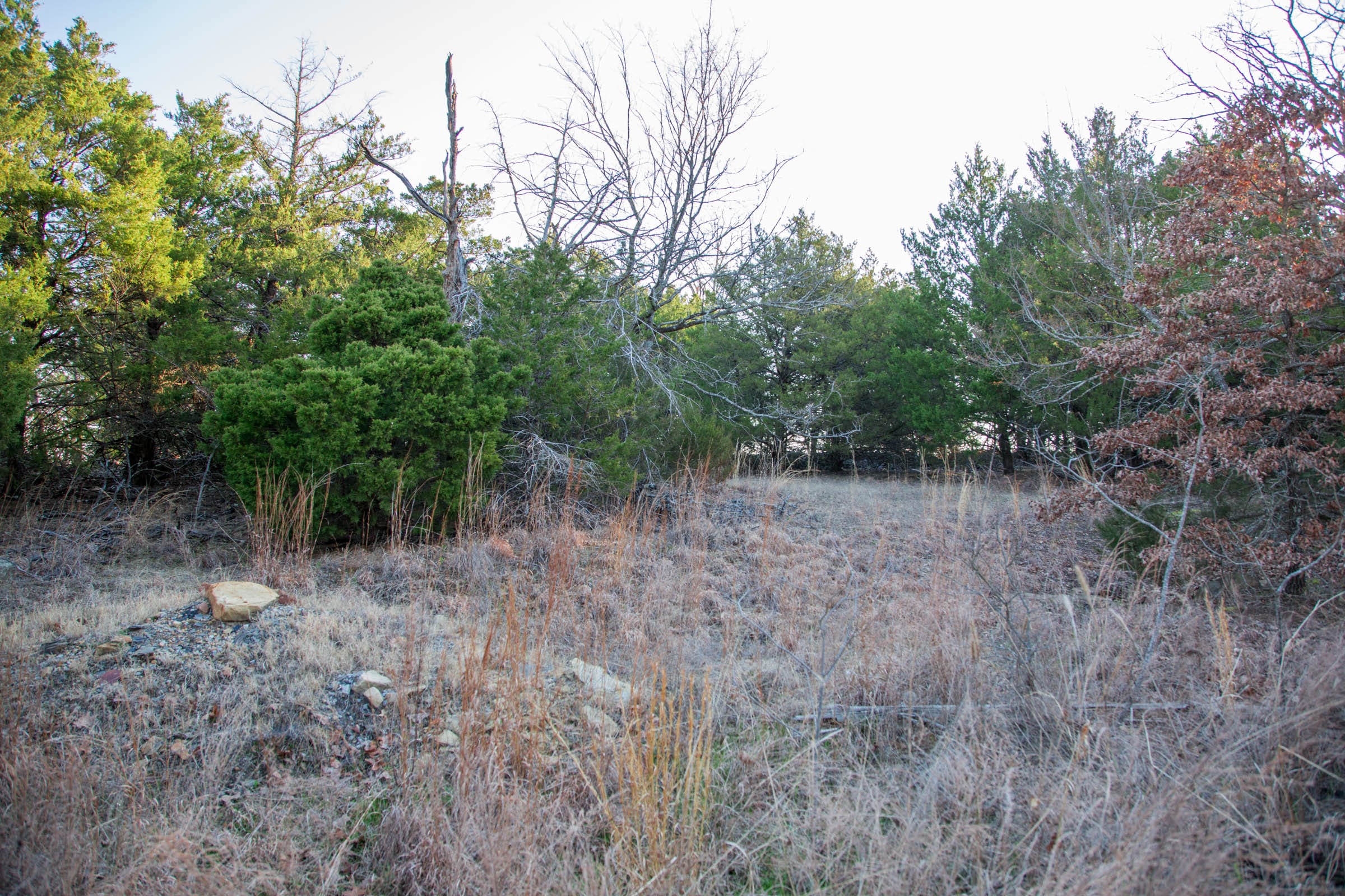 Eufaula Cove Tract 28 photo 4
