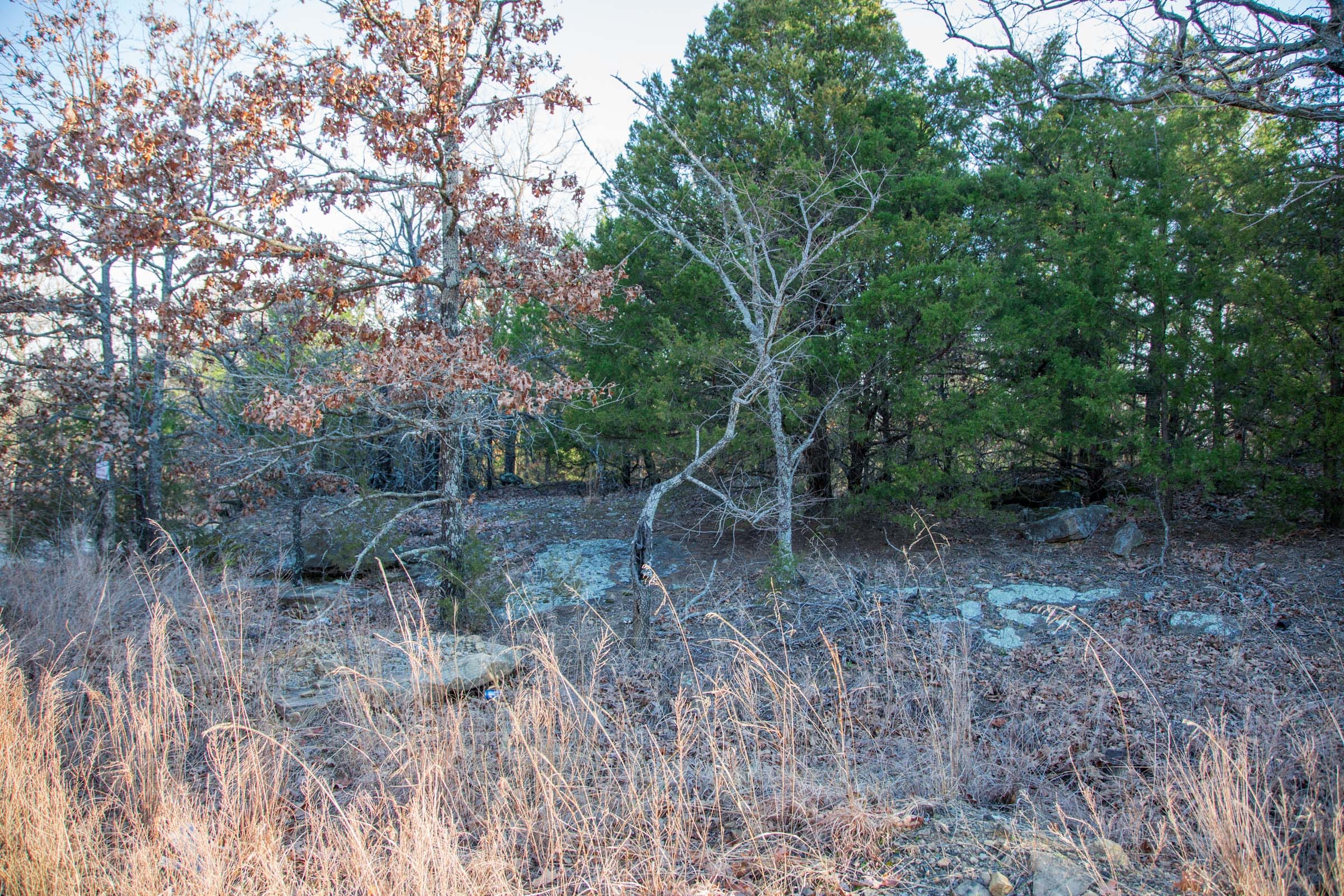 Eufaula Cove Tract 28 photo 5