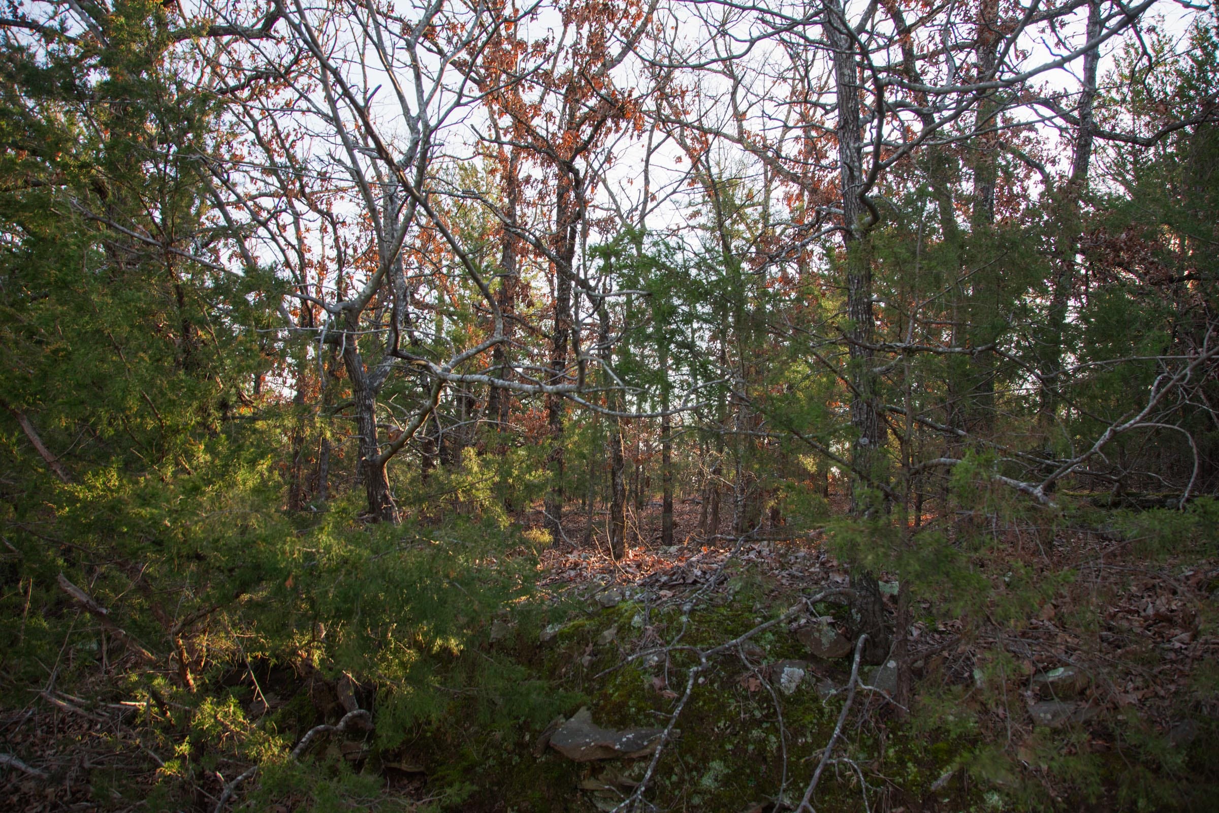 Eufaula Cove Tract 28 photo 6
