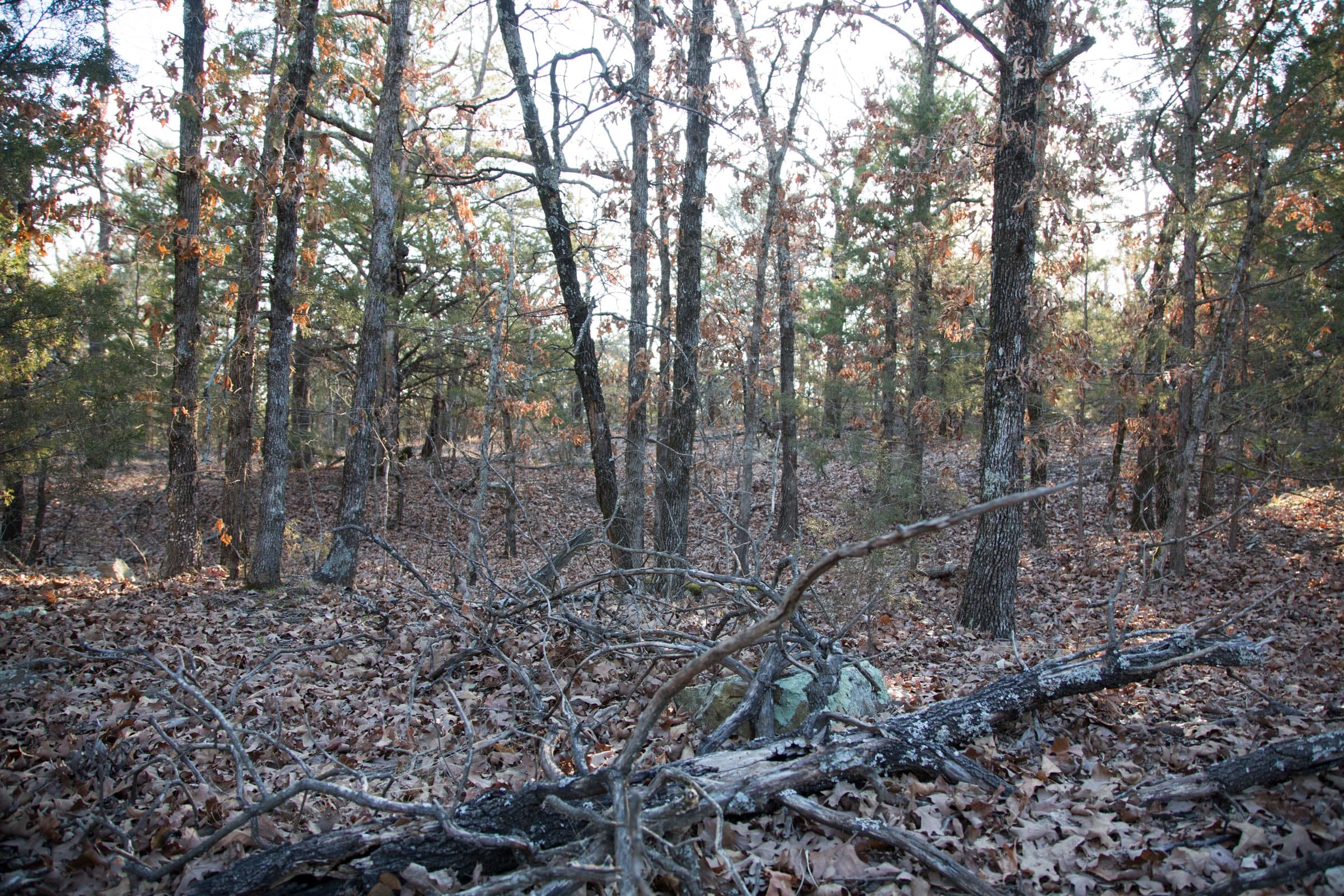 Eufaula Cove Tract 28 photo 8