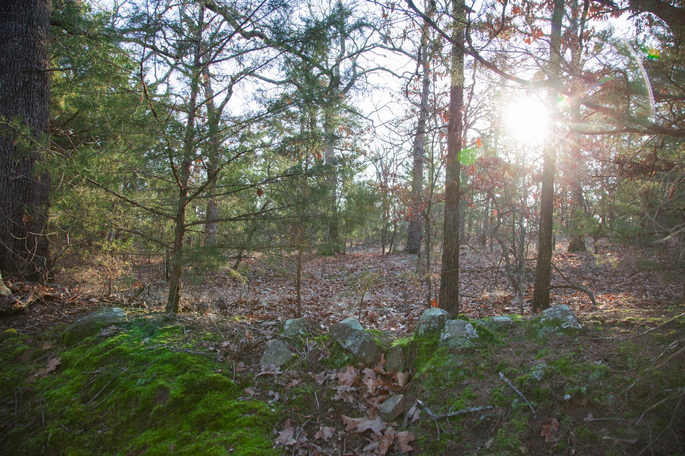 Eufaula Cove Tract 28 photo 10