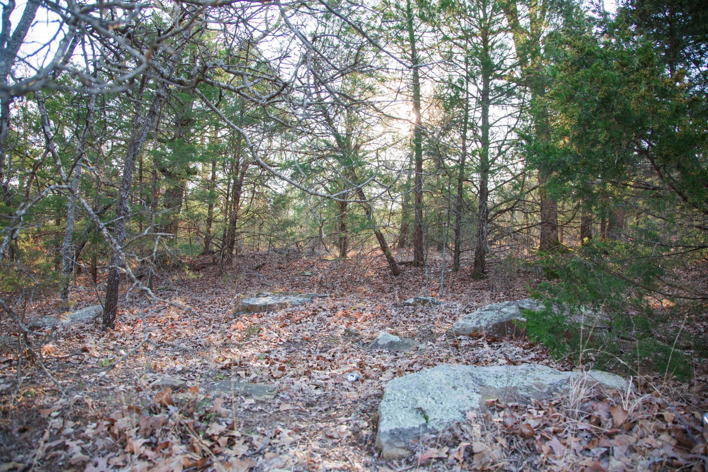 Eufaula Cove Tract 28 photo 11