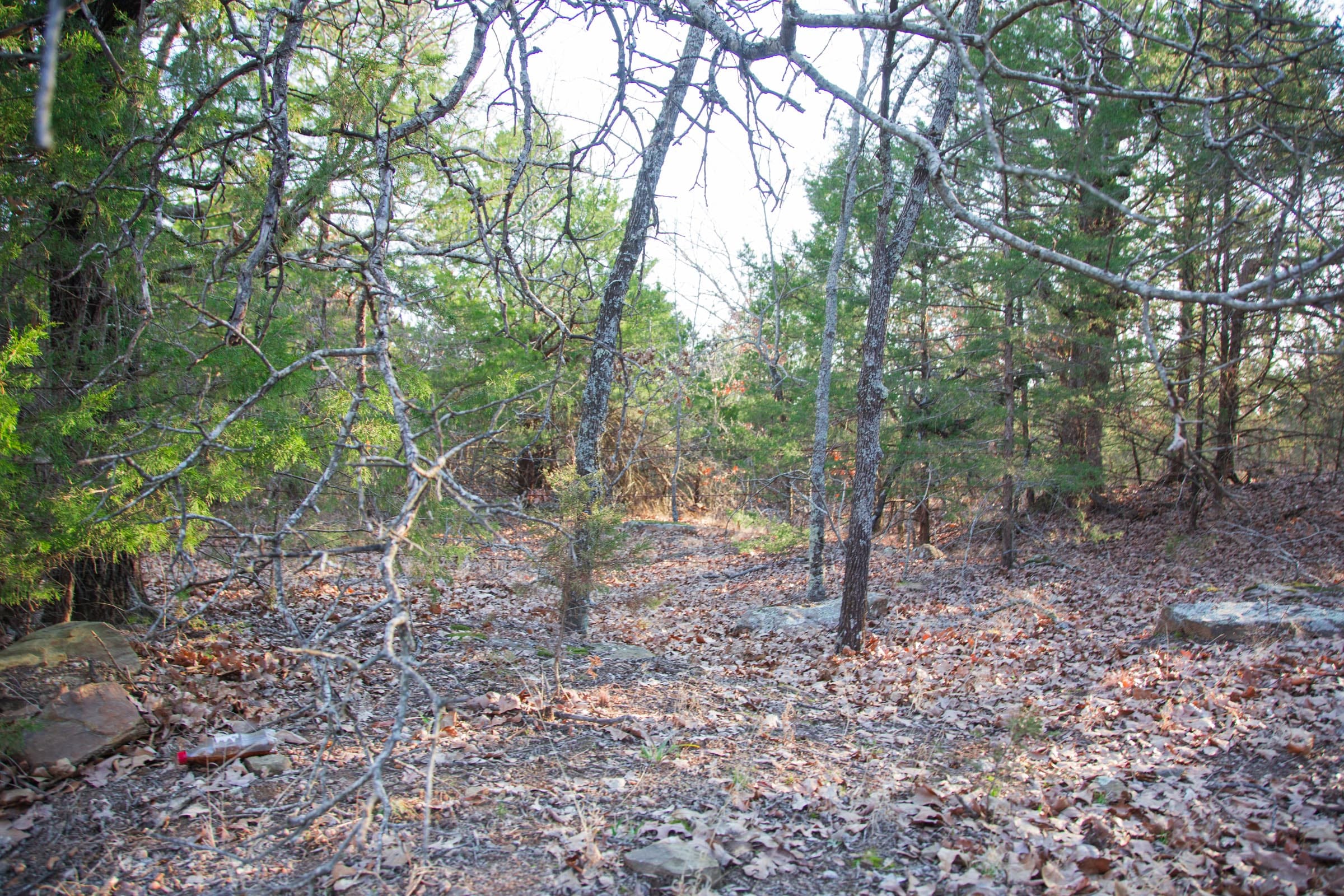 Eufaula Cove Tract 28 photo 12