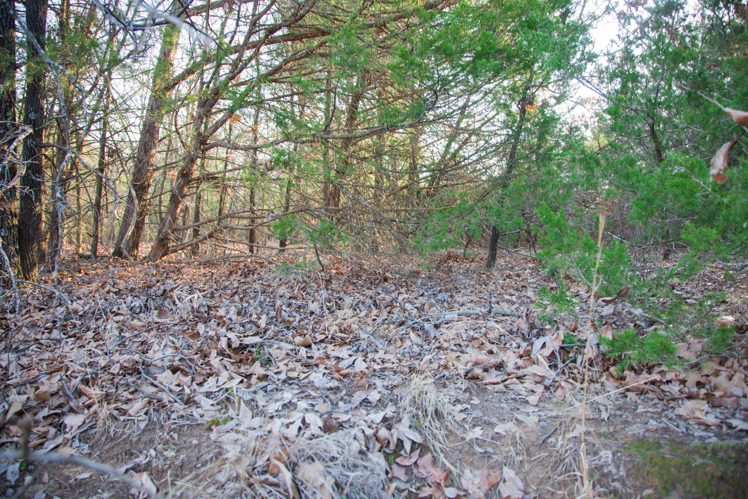 Eufaula Cove Tract 28 photo 13