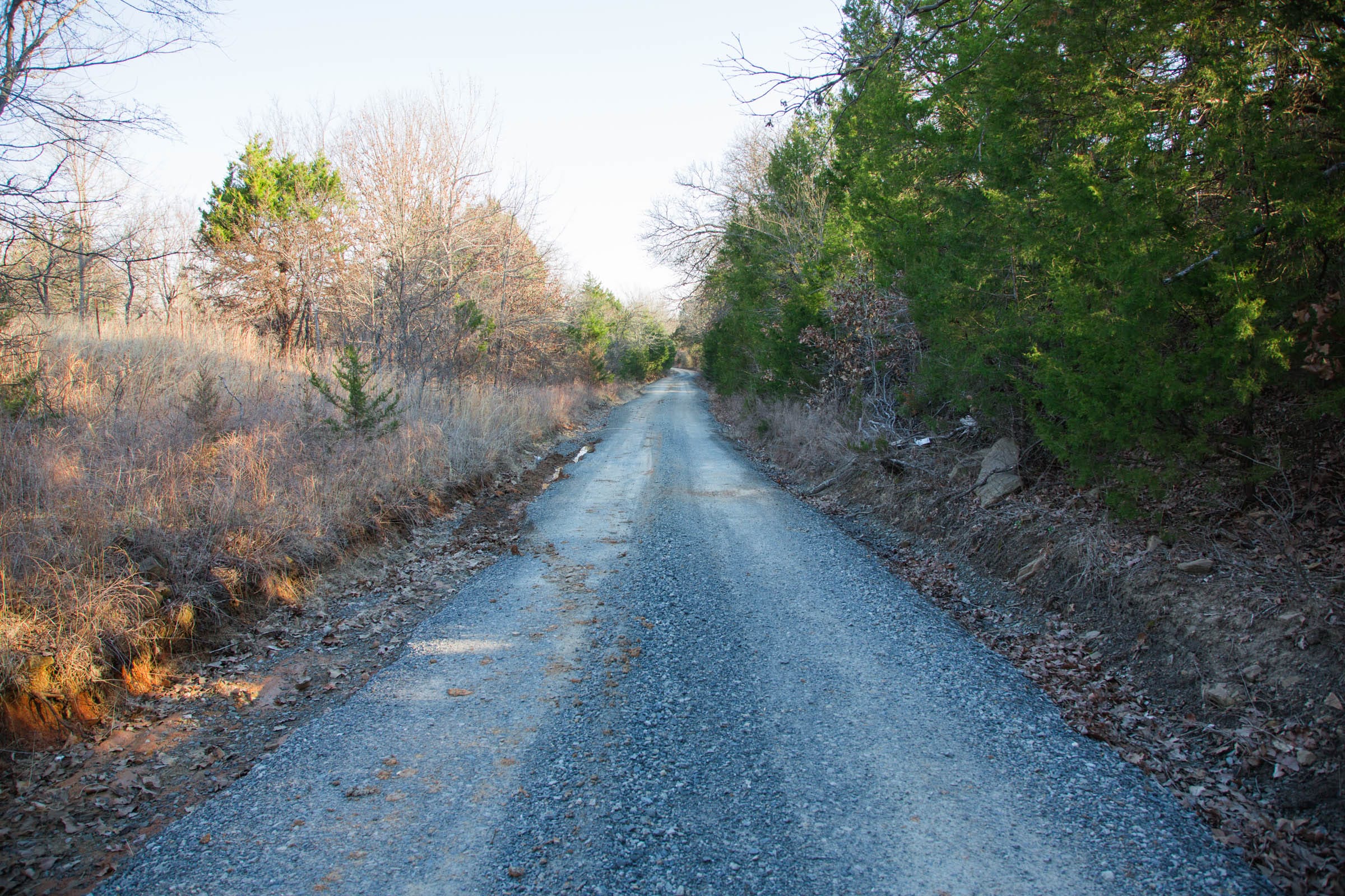 Eufaula Cove Tract 28 photo 14