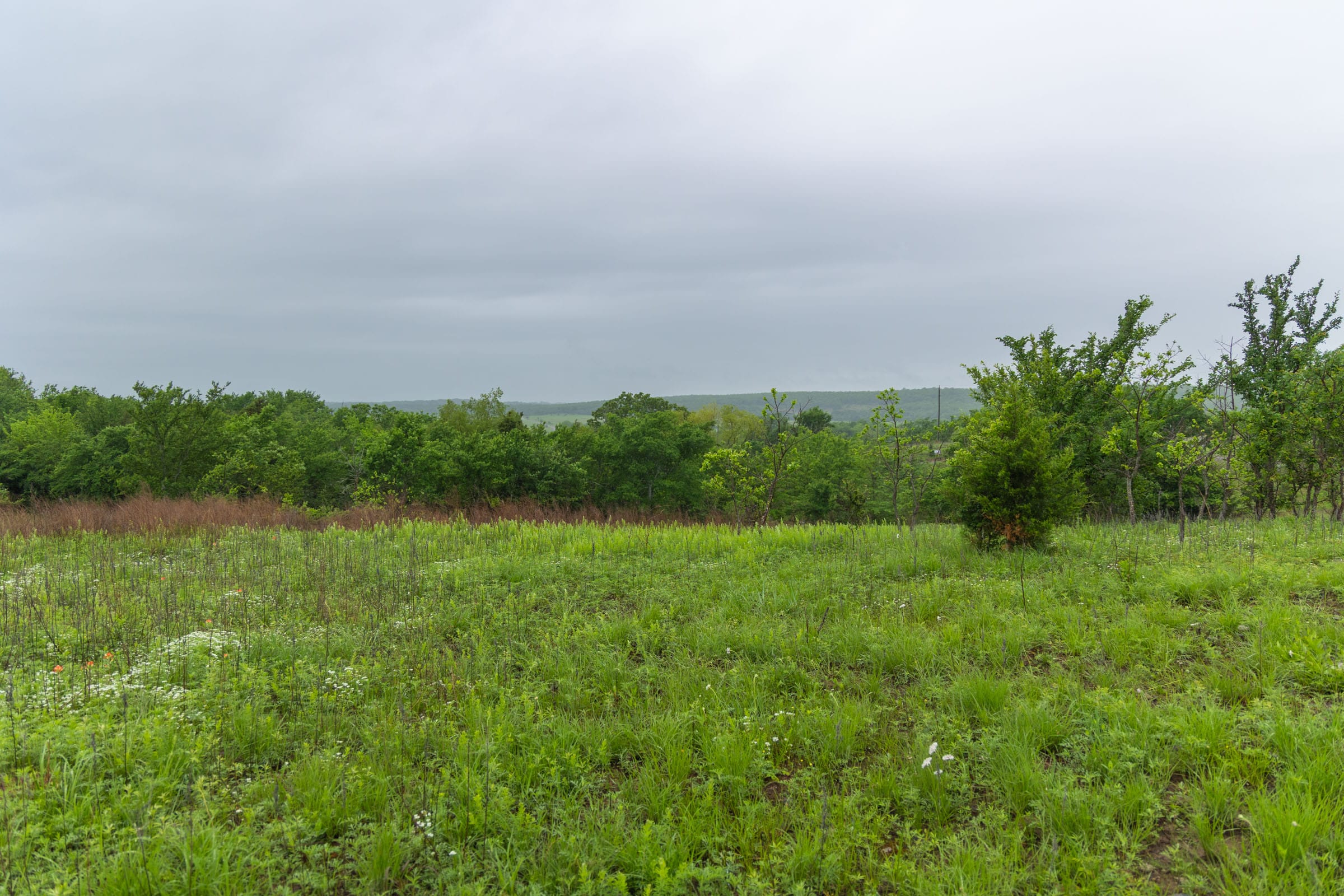 Harmony Hills Tract 6 photo 3