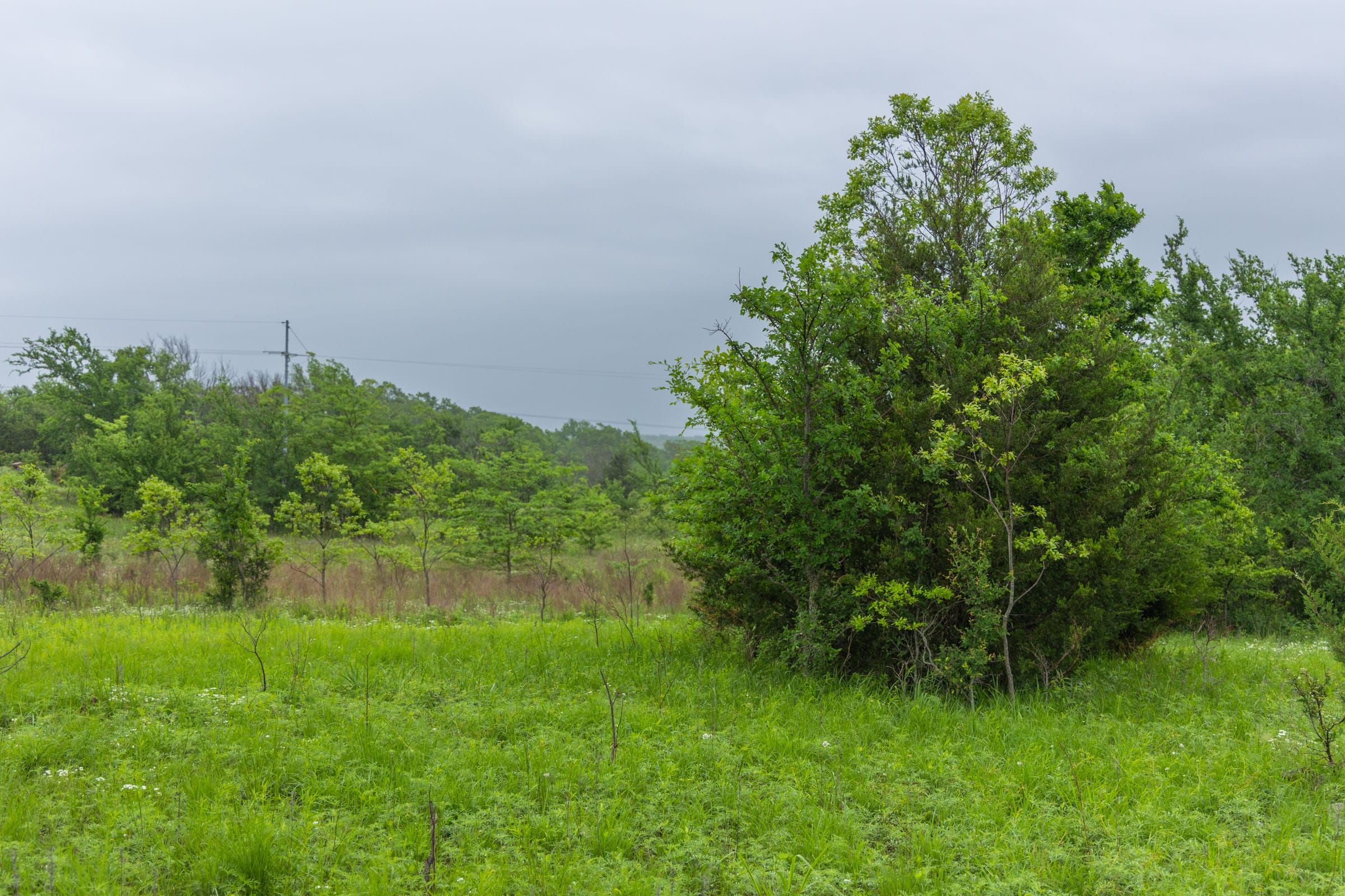 Harmony Hills Tract 6 photo 8