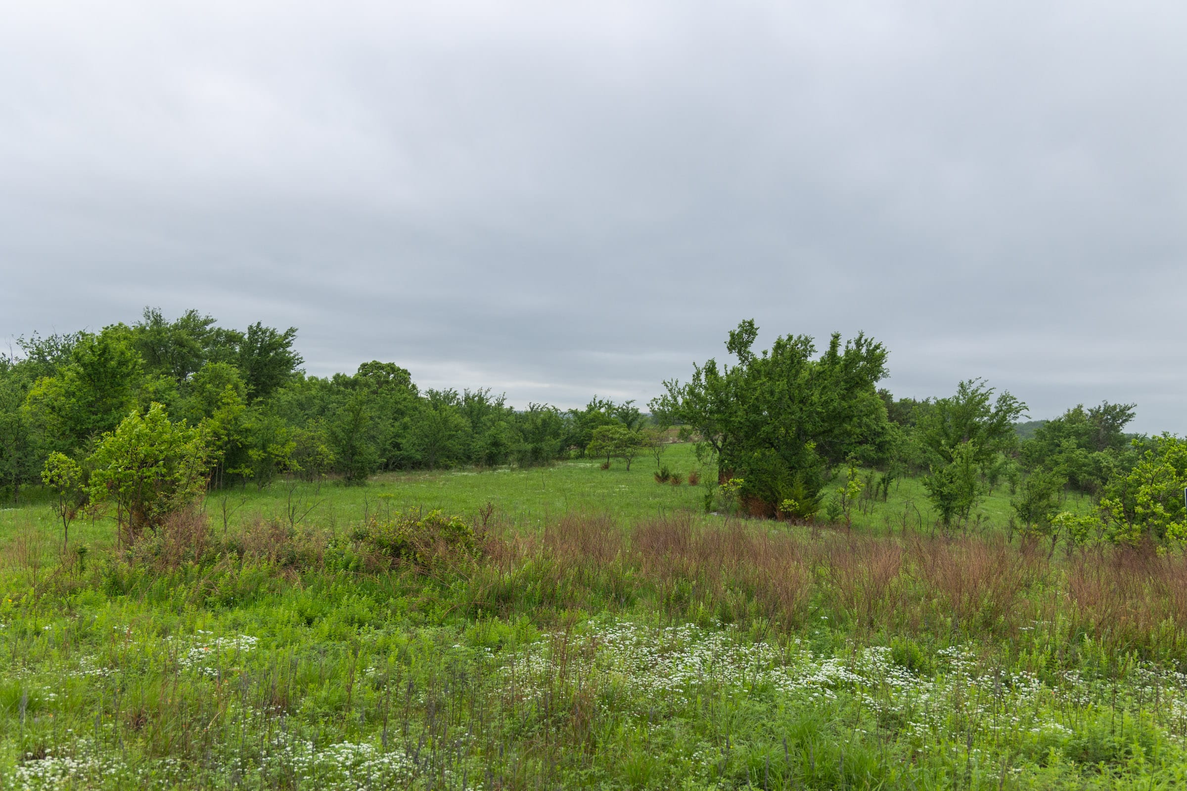 Harmony Hills Tract 6 photo 10