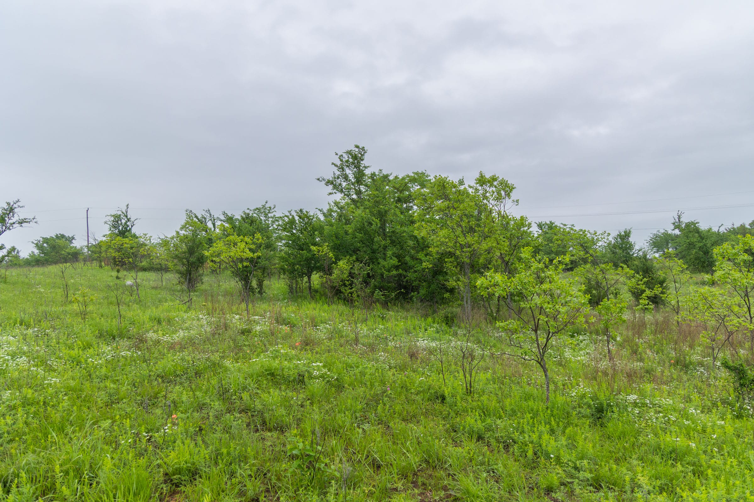 Harmony Hills Tract 6 photo 5