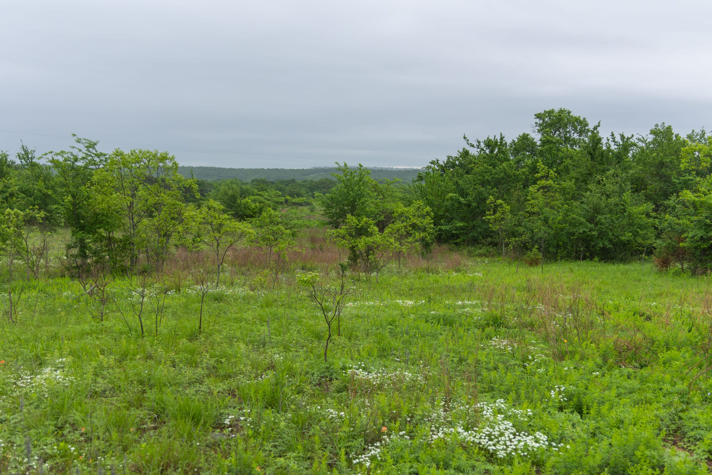 Harmony Hills Tract 6 photo 1