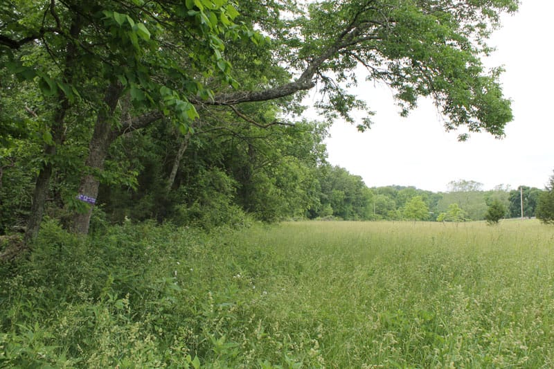 Cedar Ridge Ranch Tract 40 photo 1