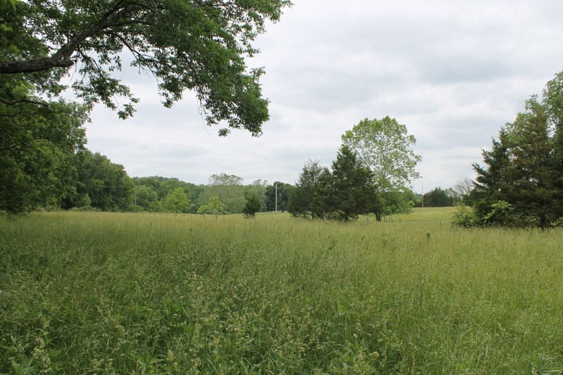 Cedar Ridge Ranch Tract 40 photo 2