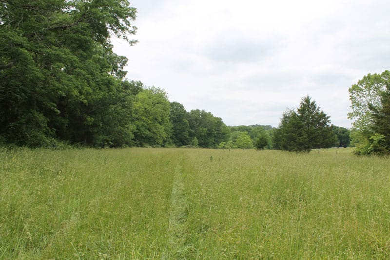 Cedar Ridge Ranch Tract 40 photo 5
