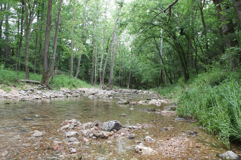 Cedar Ridge Ranch Tract 40 photo 7
