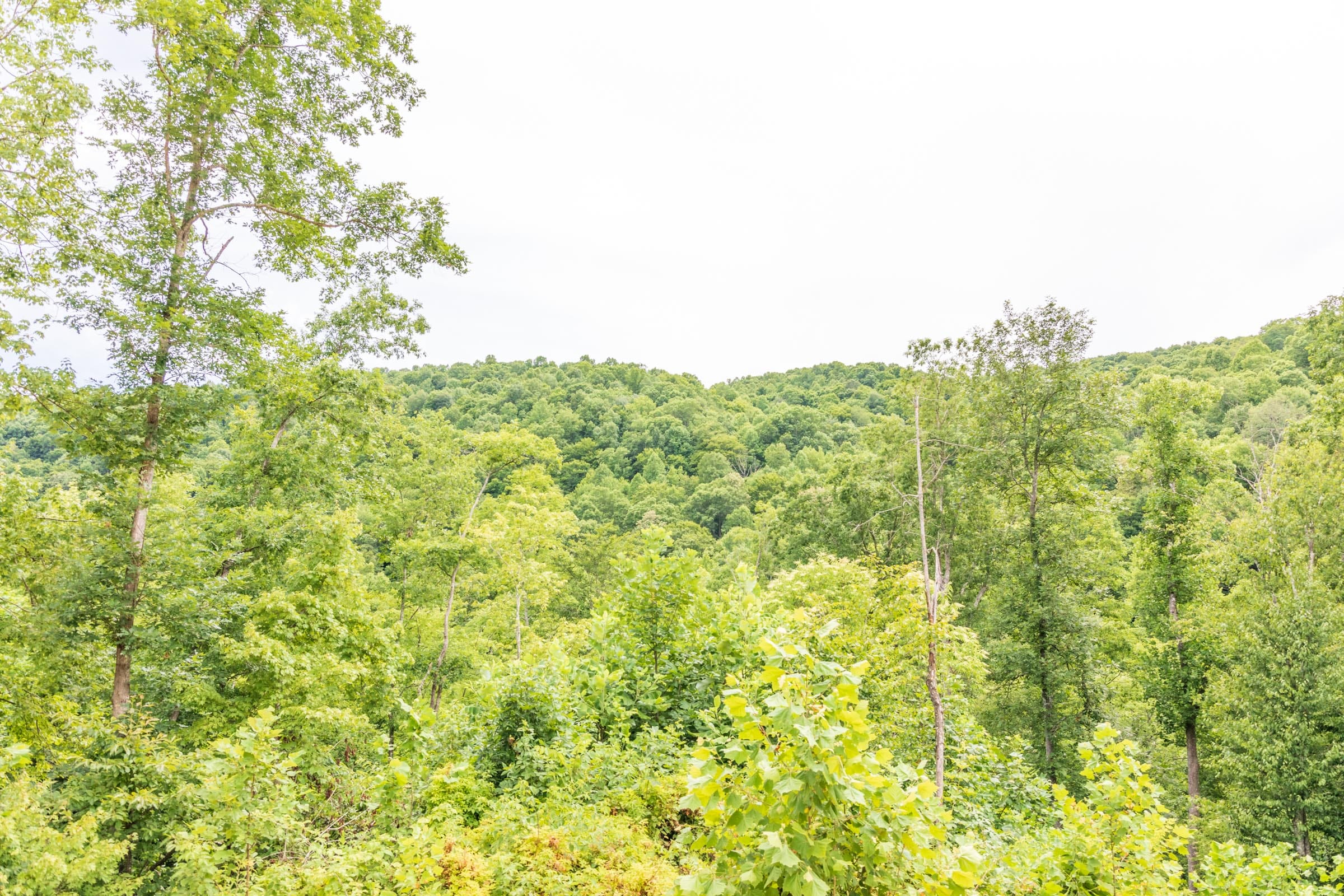 River’s Edge Tract 33 photo 2