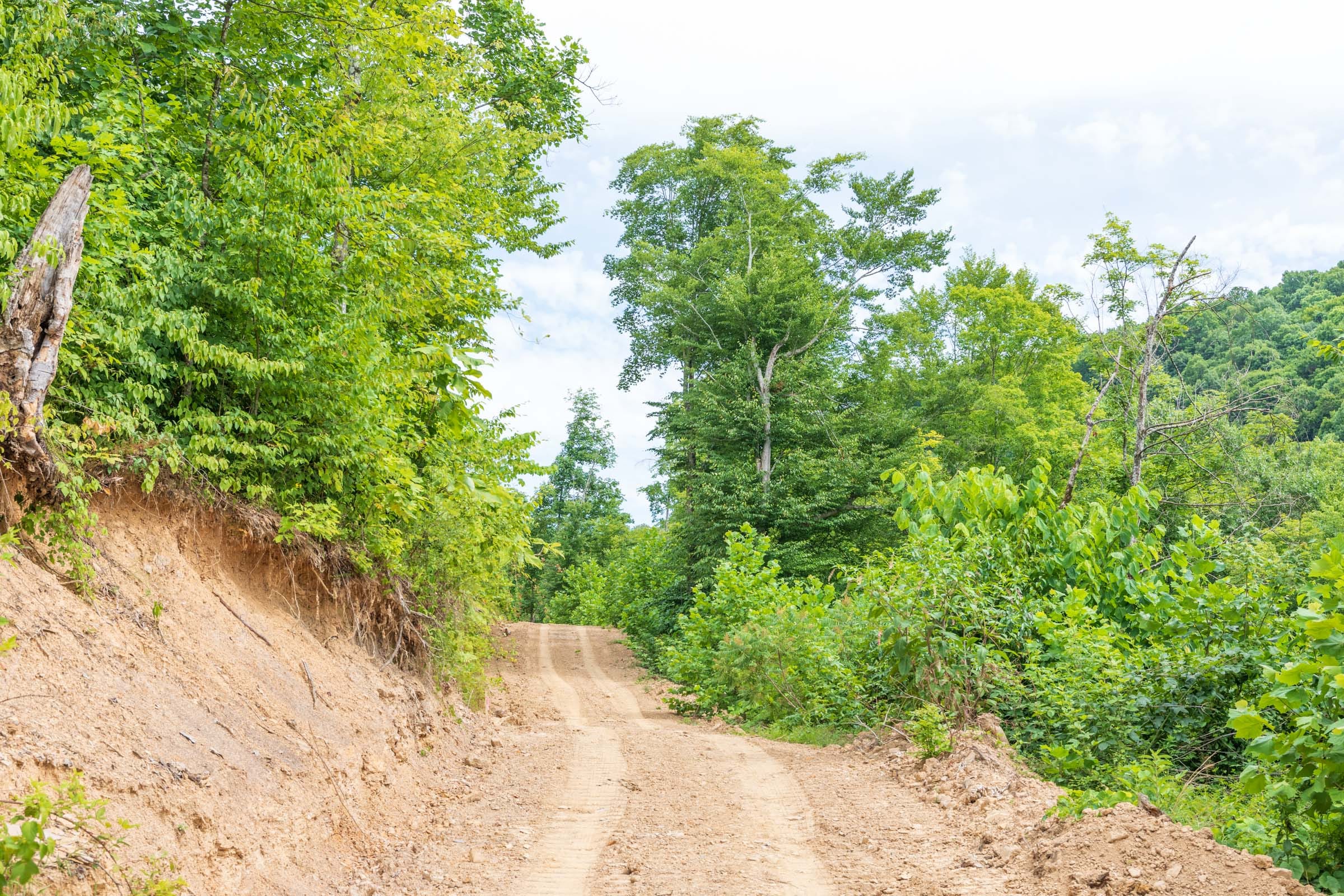 River’s Edge Tract 33 photo 6