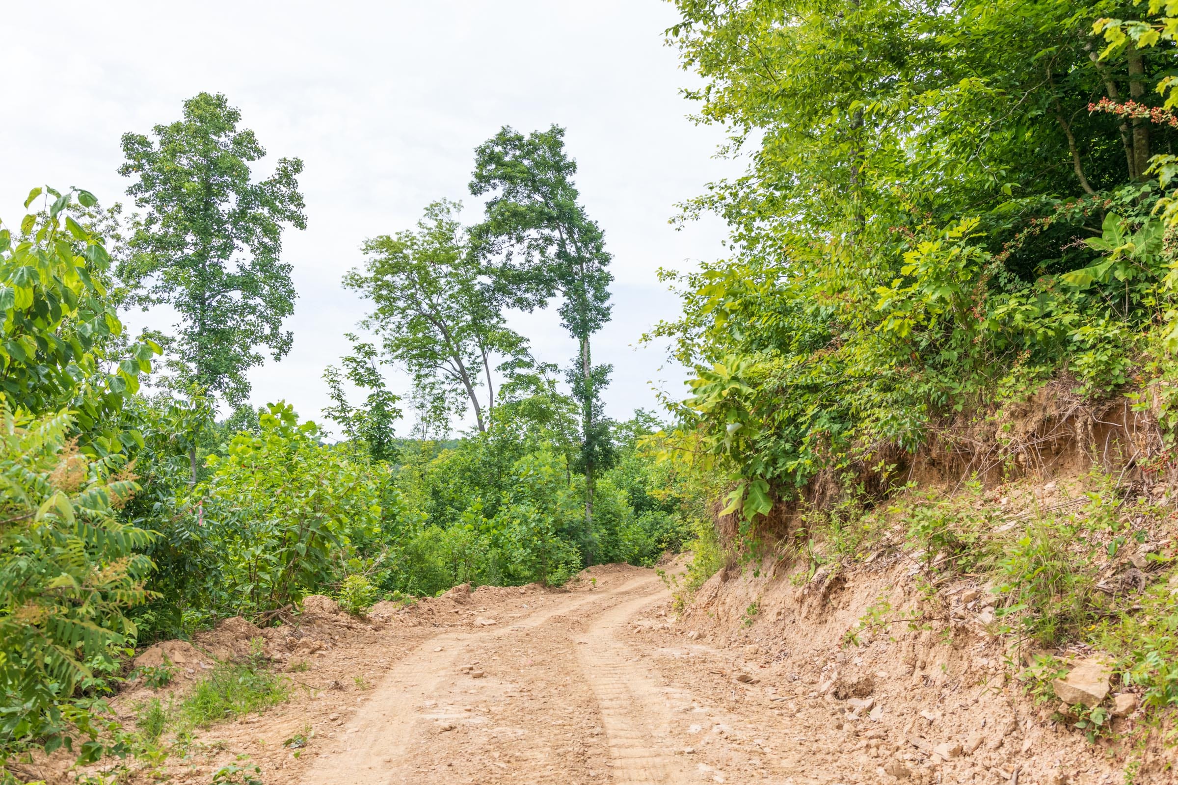 River’s Edge Tract 33 photo 8