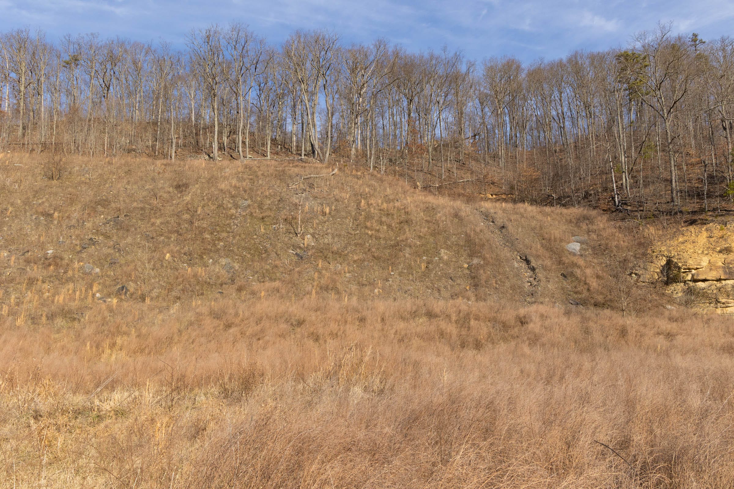 Jade Pass Tract 17 photo 11