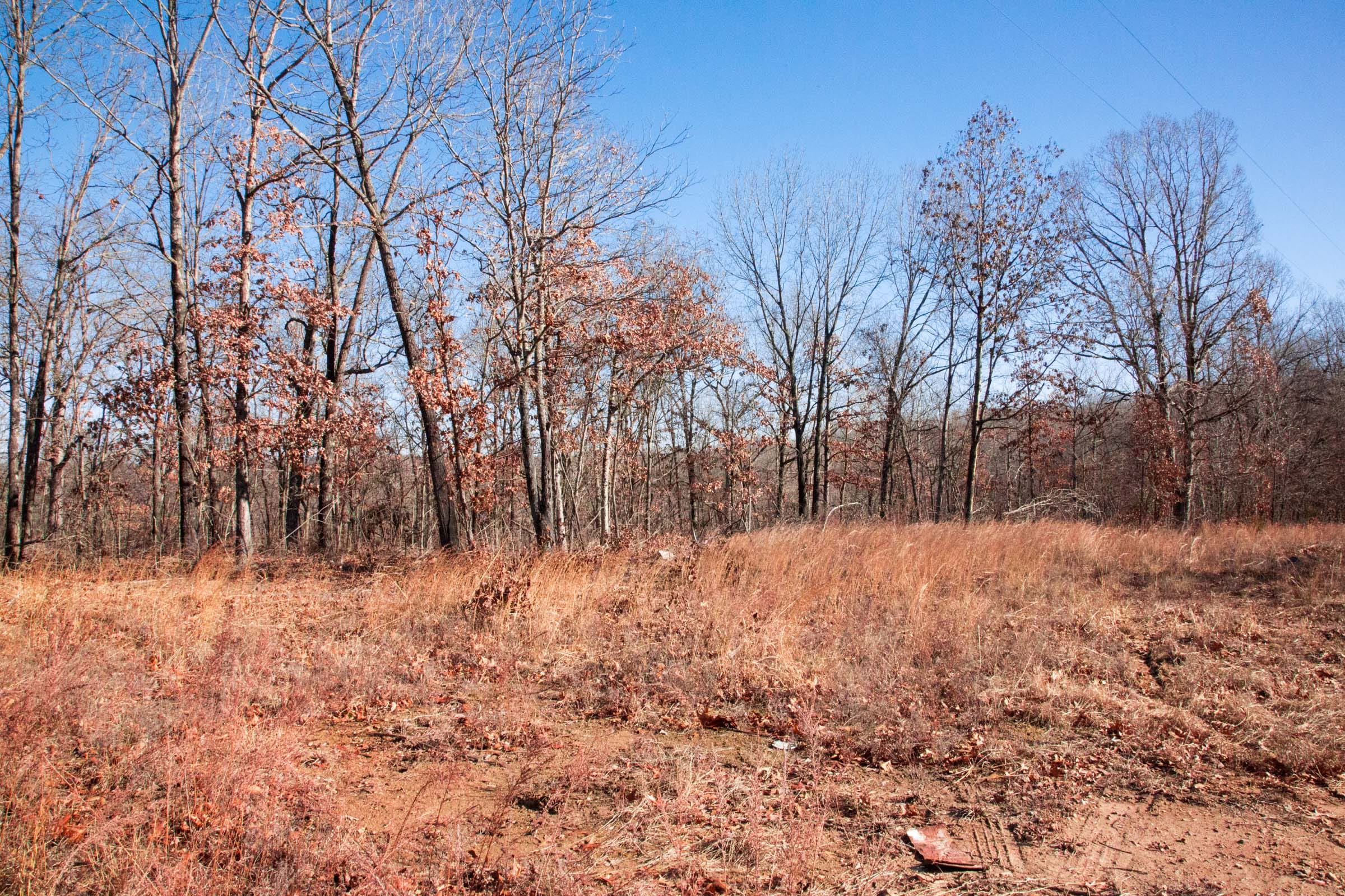 Buffalo Hills Tract 2 photo 2