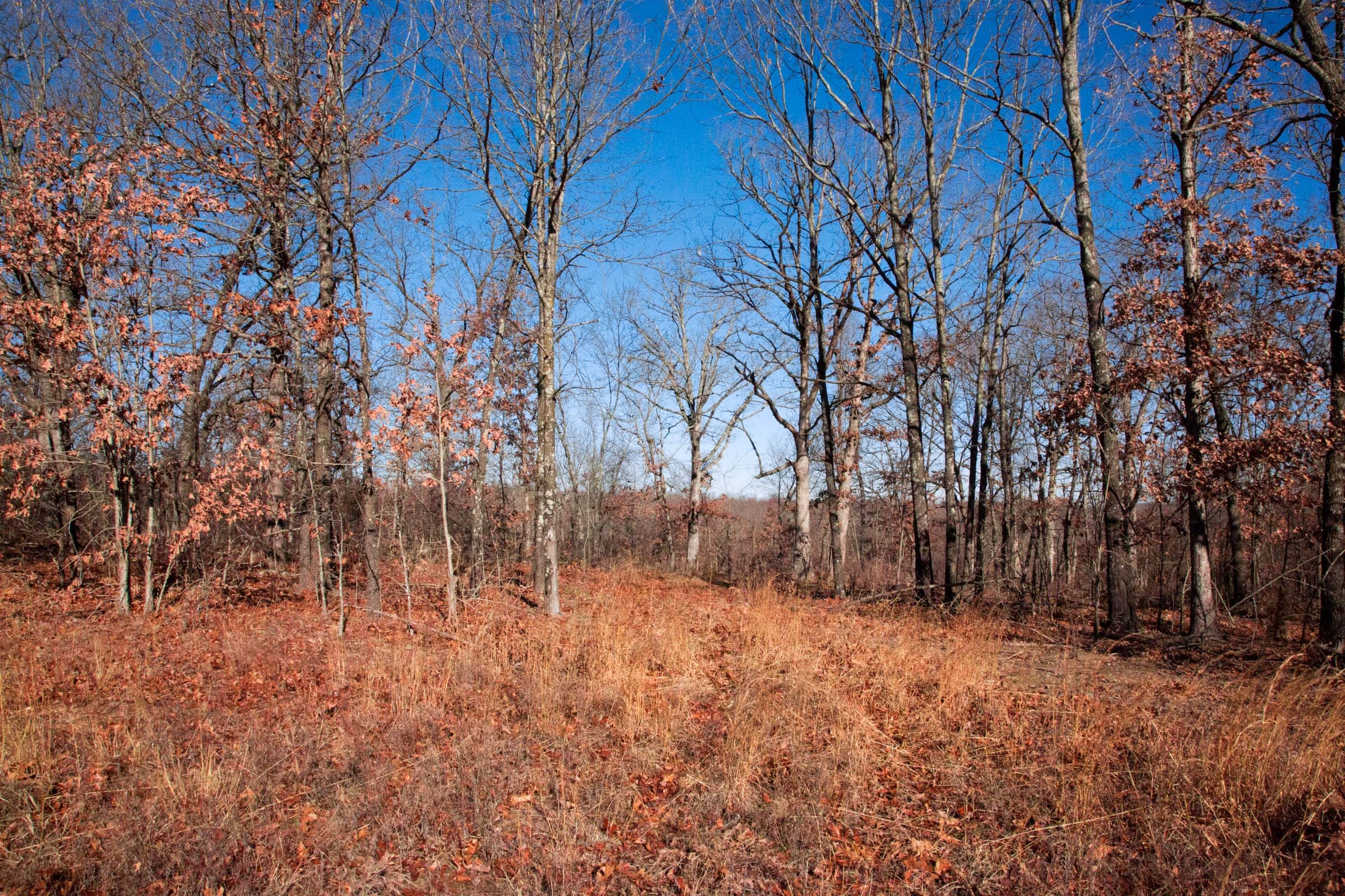 Buffalo Hills Tract 2 photo 3
