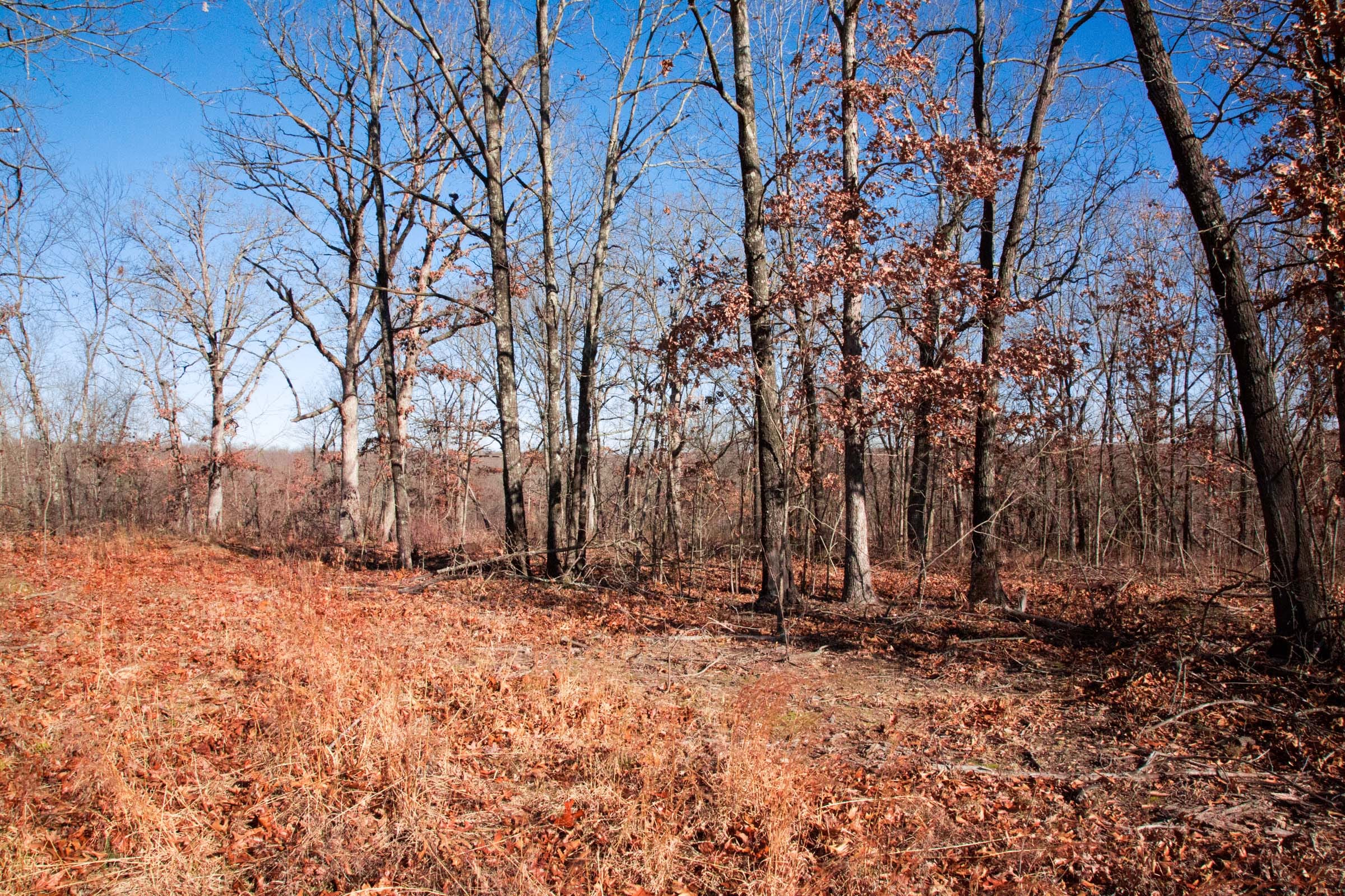 Buffalo Hills Tract 2 photo 4